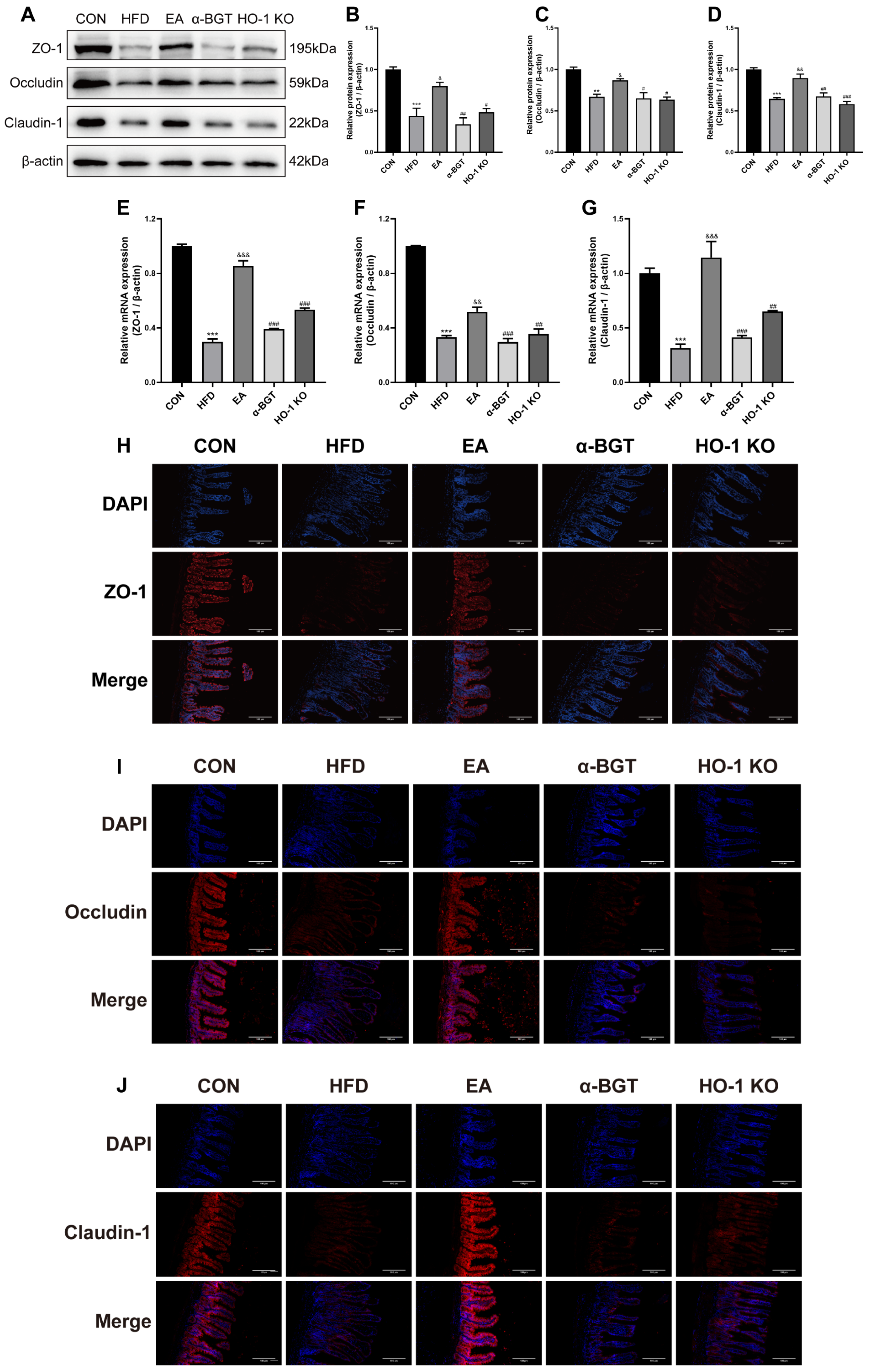 Biomedicines 13 00802 g006