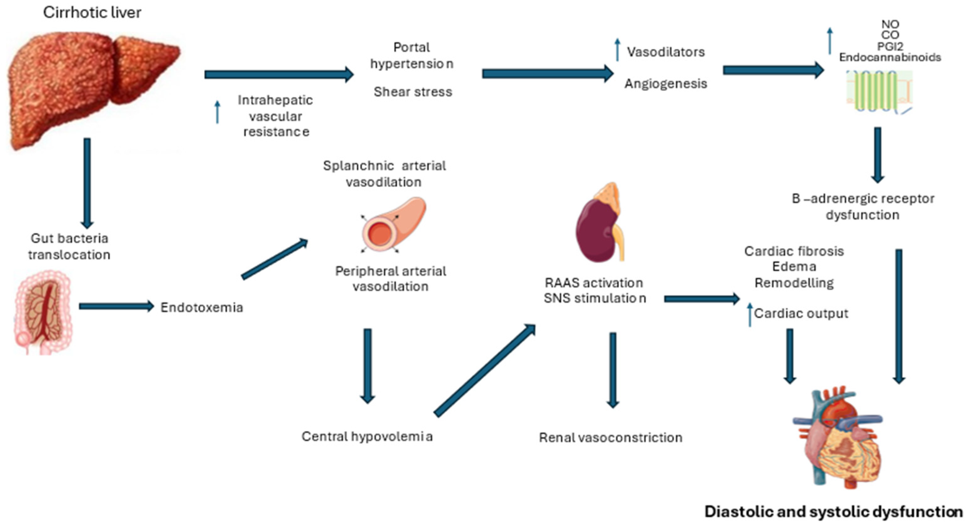 Biomedicines 13 00812 g001
