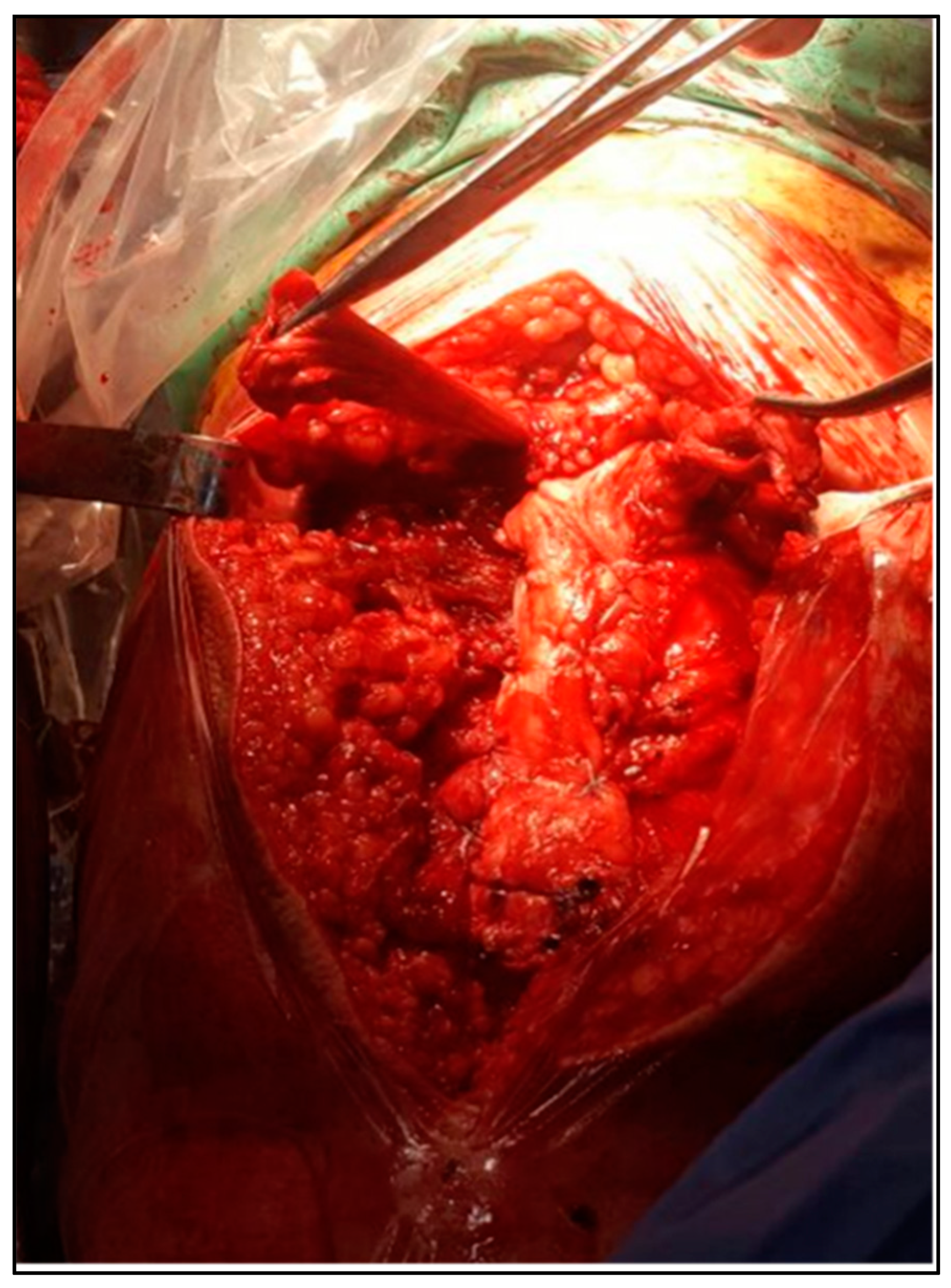 Biomedicines 13 00816 g003