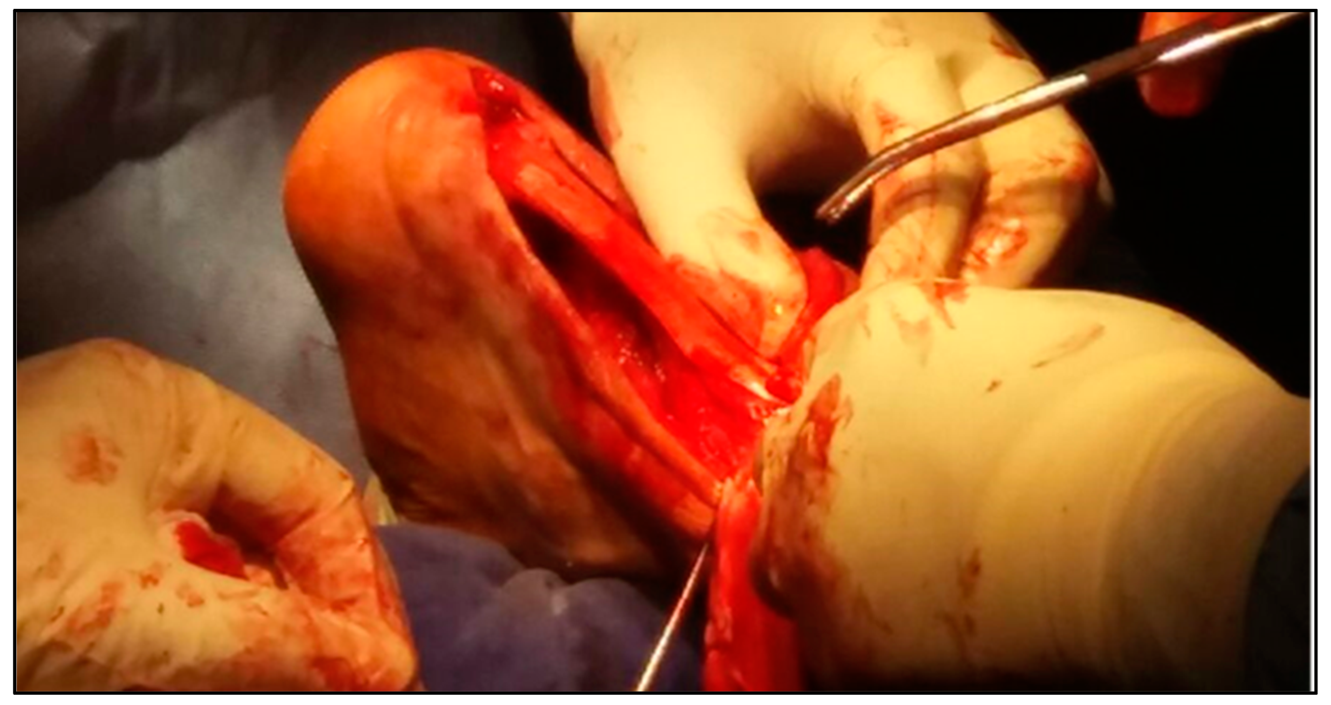 Biomedicines 13 00816 g004