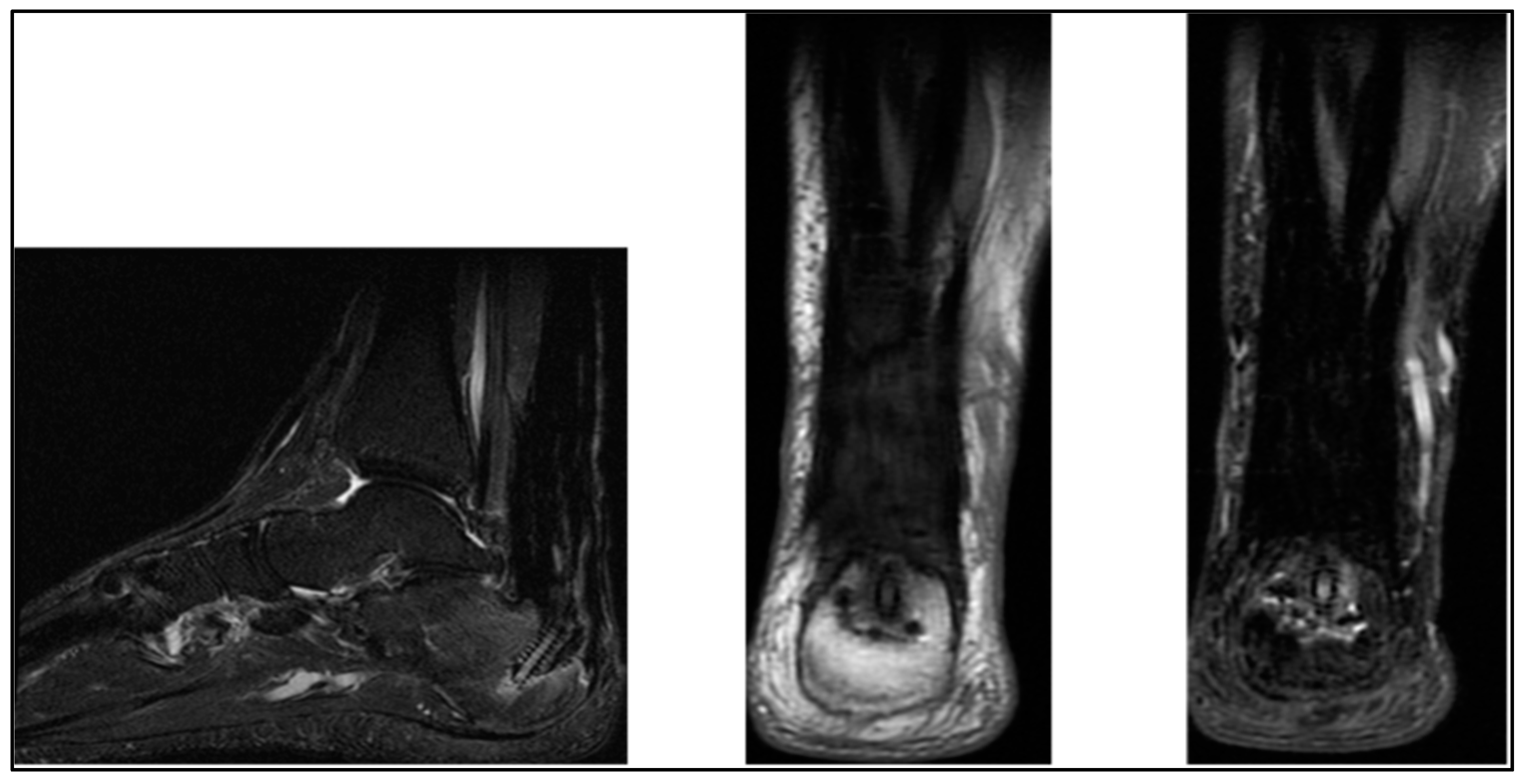 Biomedicines 13 00816 g006