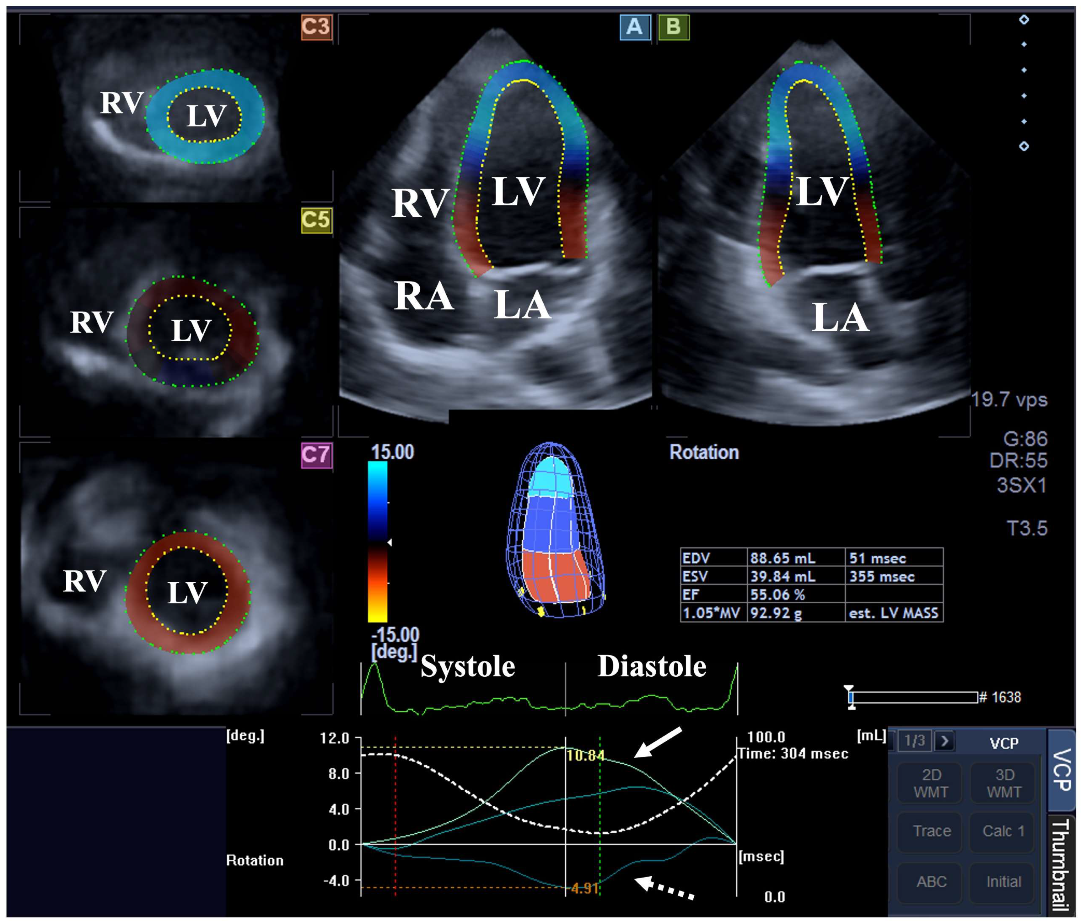 Biomedicines 13 00817 g001