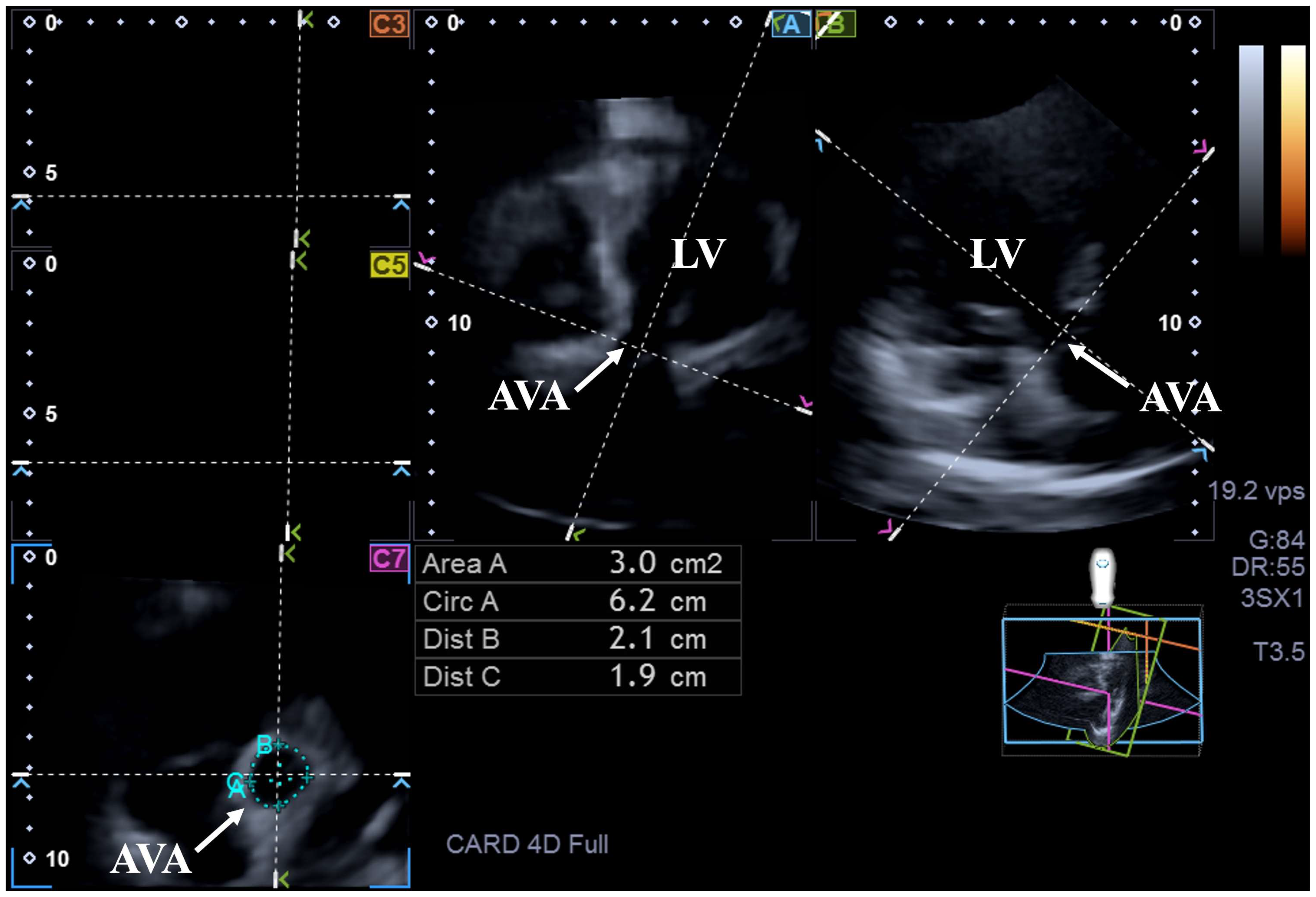Biomedicines 13 00817 g002
