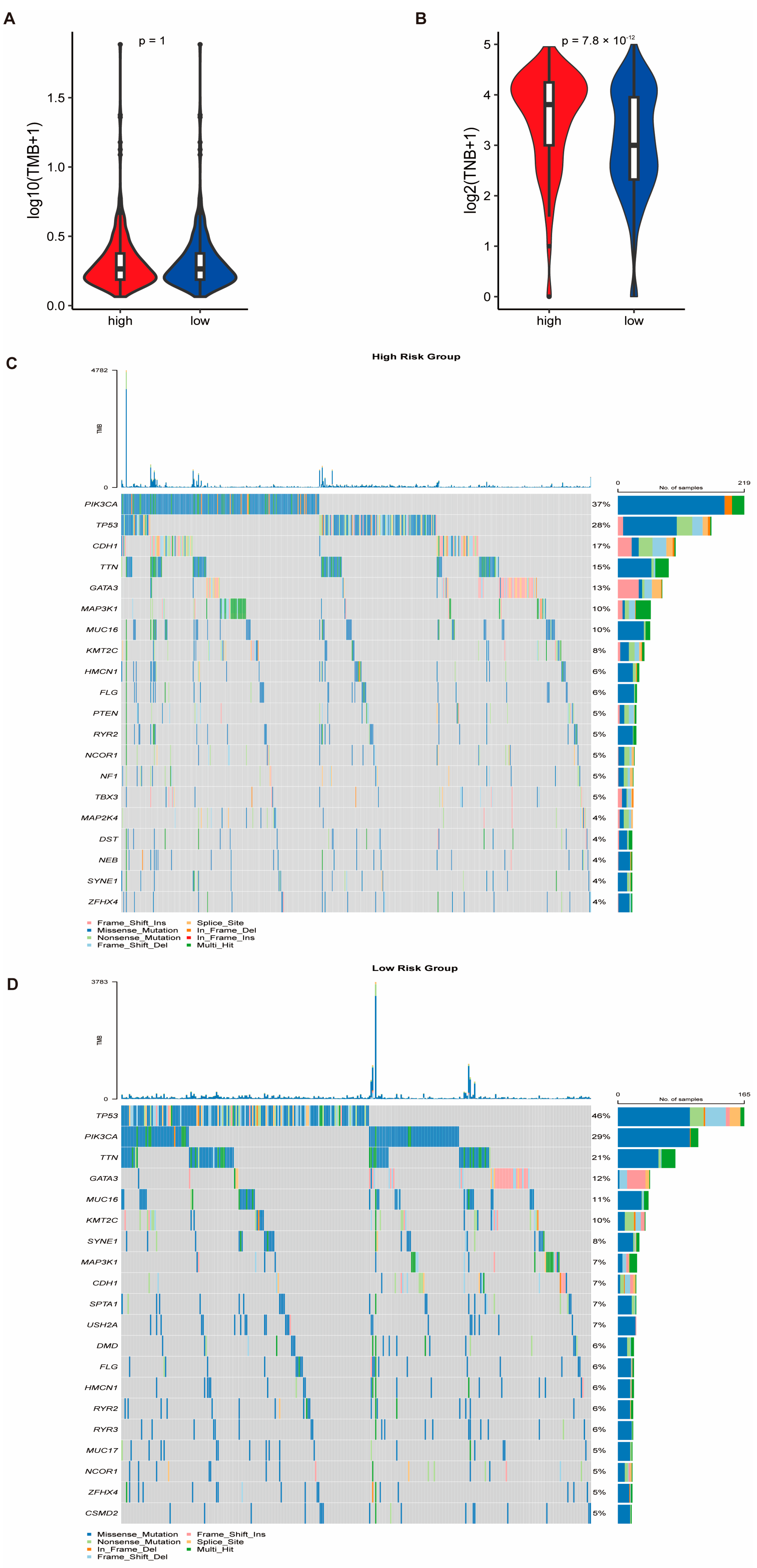 Biomedicines 13 00826 g008