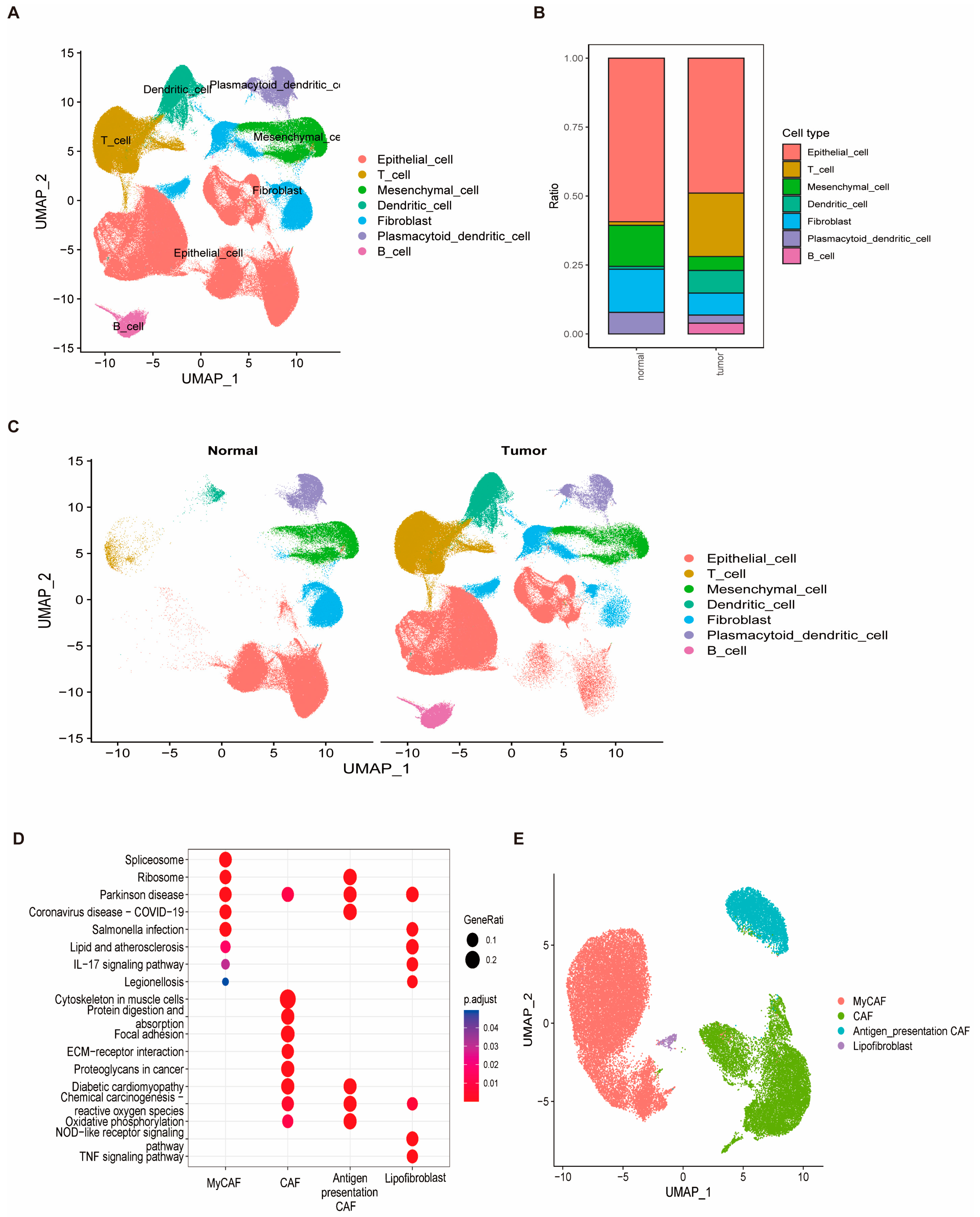 Biomedicines 13 00826 g010