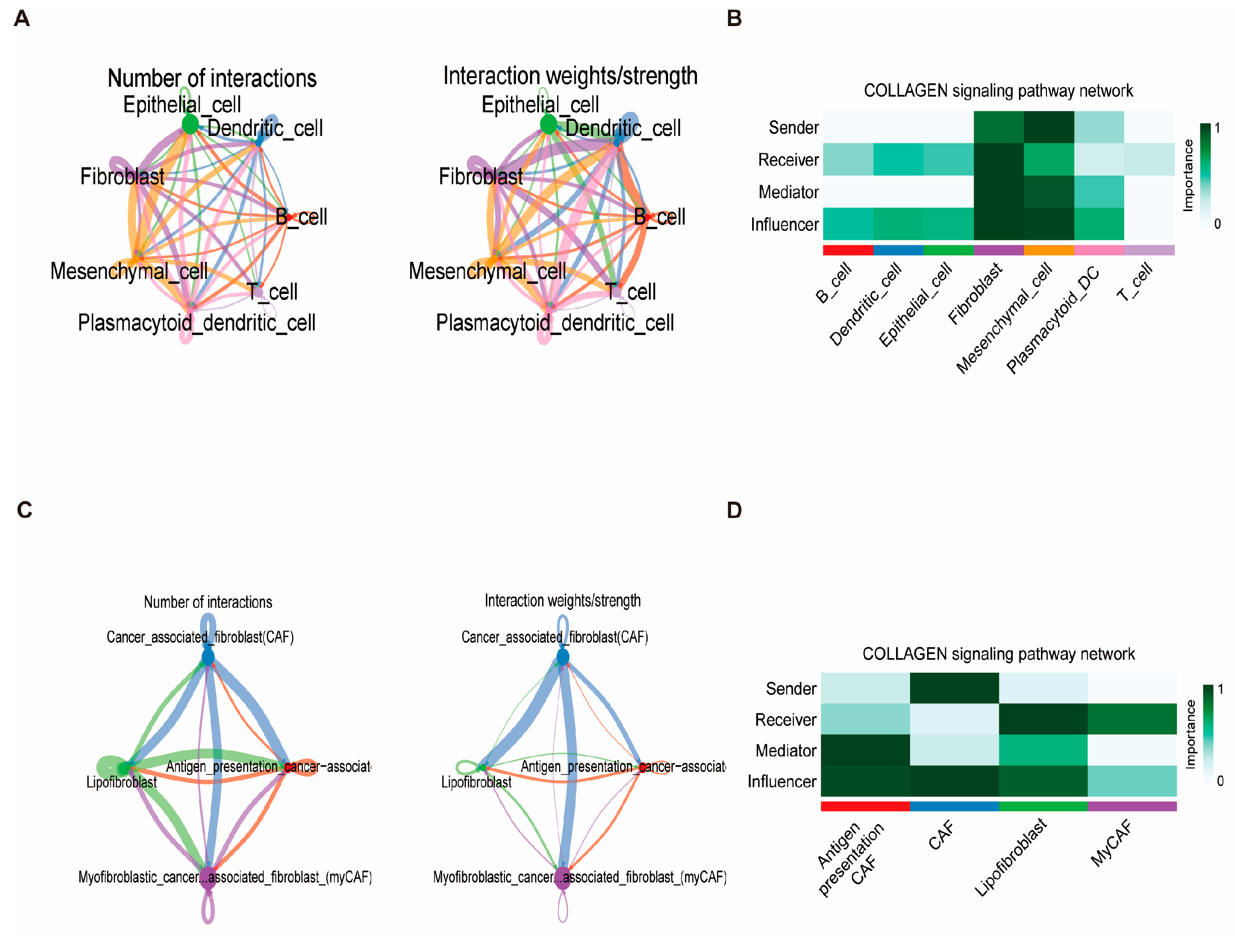 Biomedicines 13 00826 g012