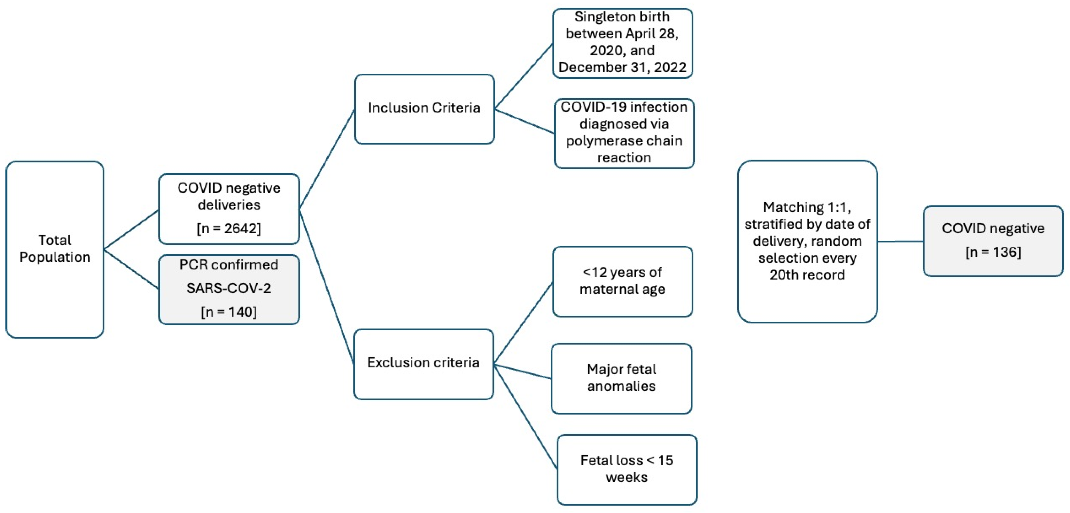 Biomedicines 13 00832 g001