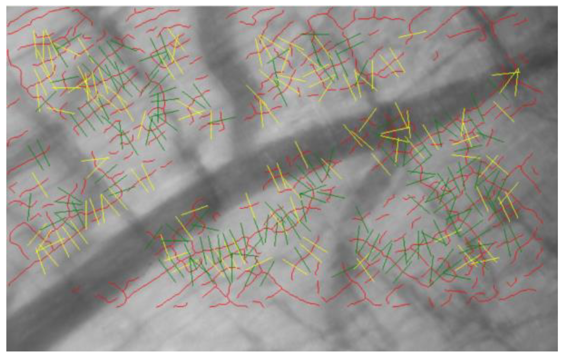 Biomedicines 13 00833 g002