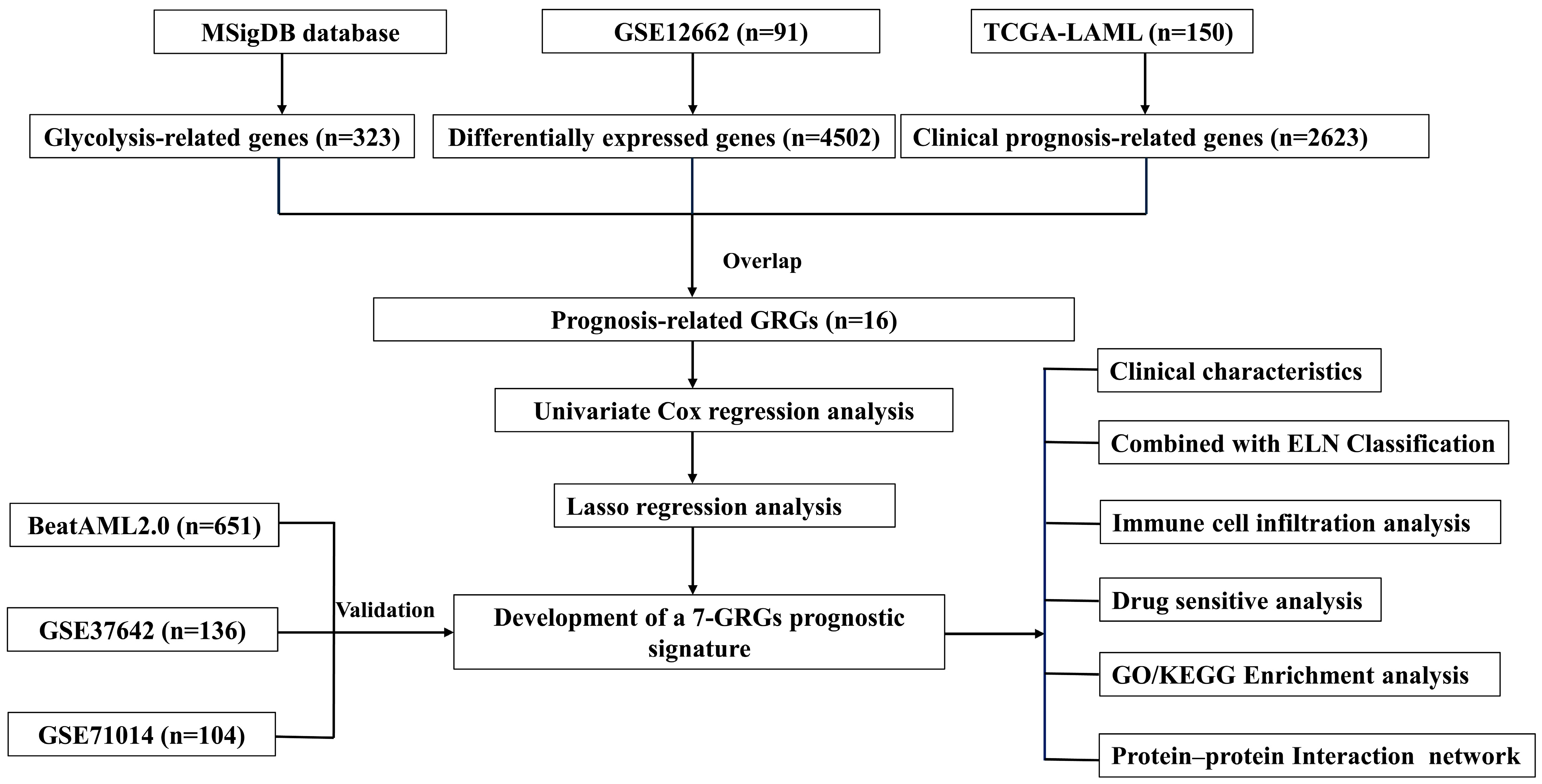 Biomedicines 13 00834 g001