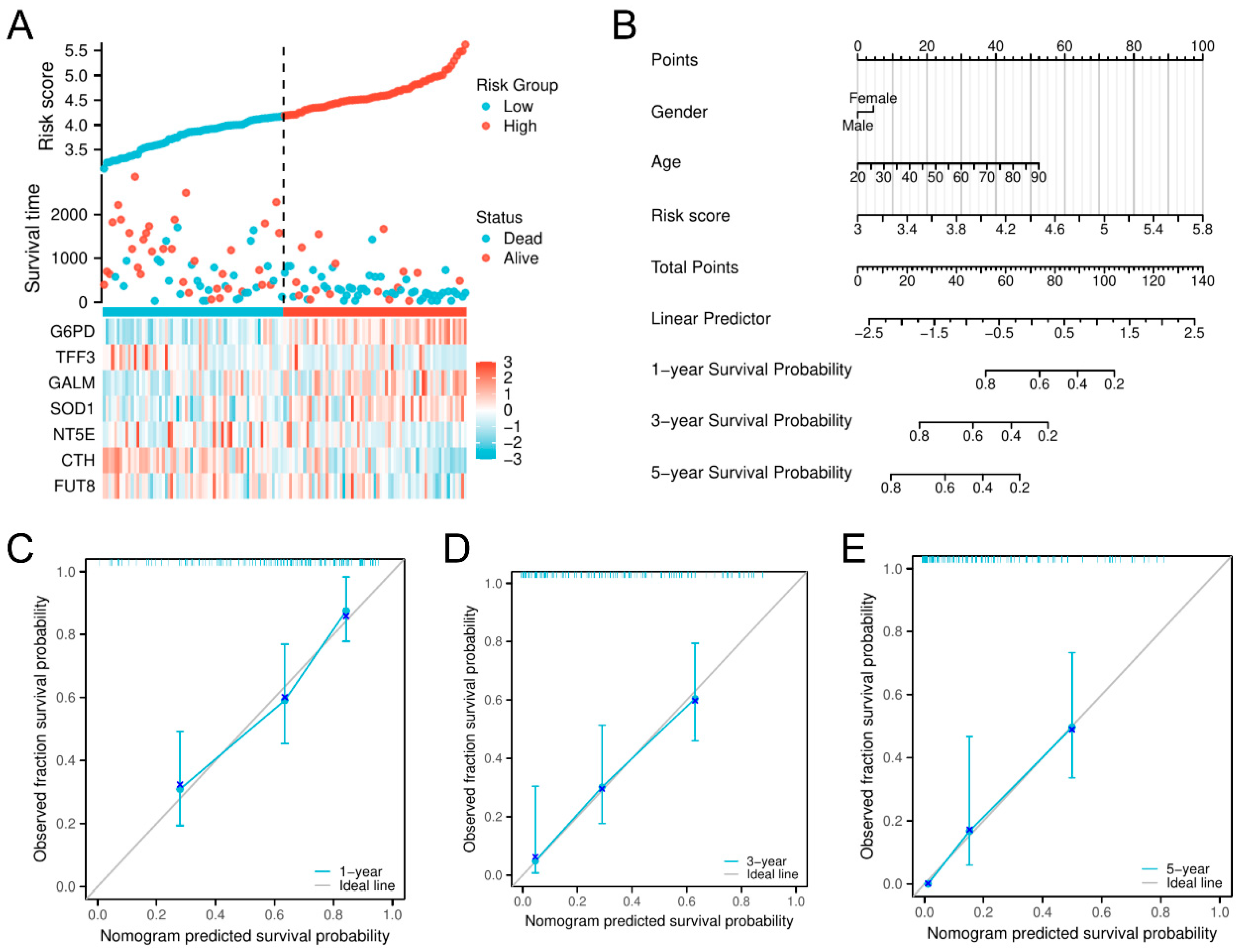 Biomedicines 13 00834 g004