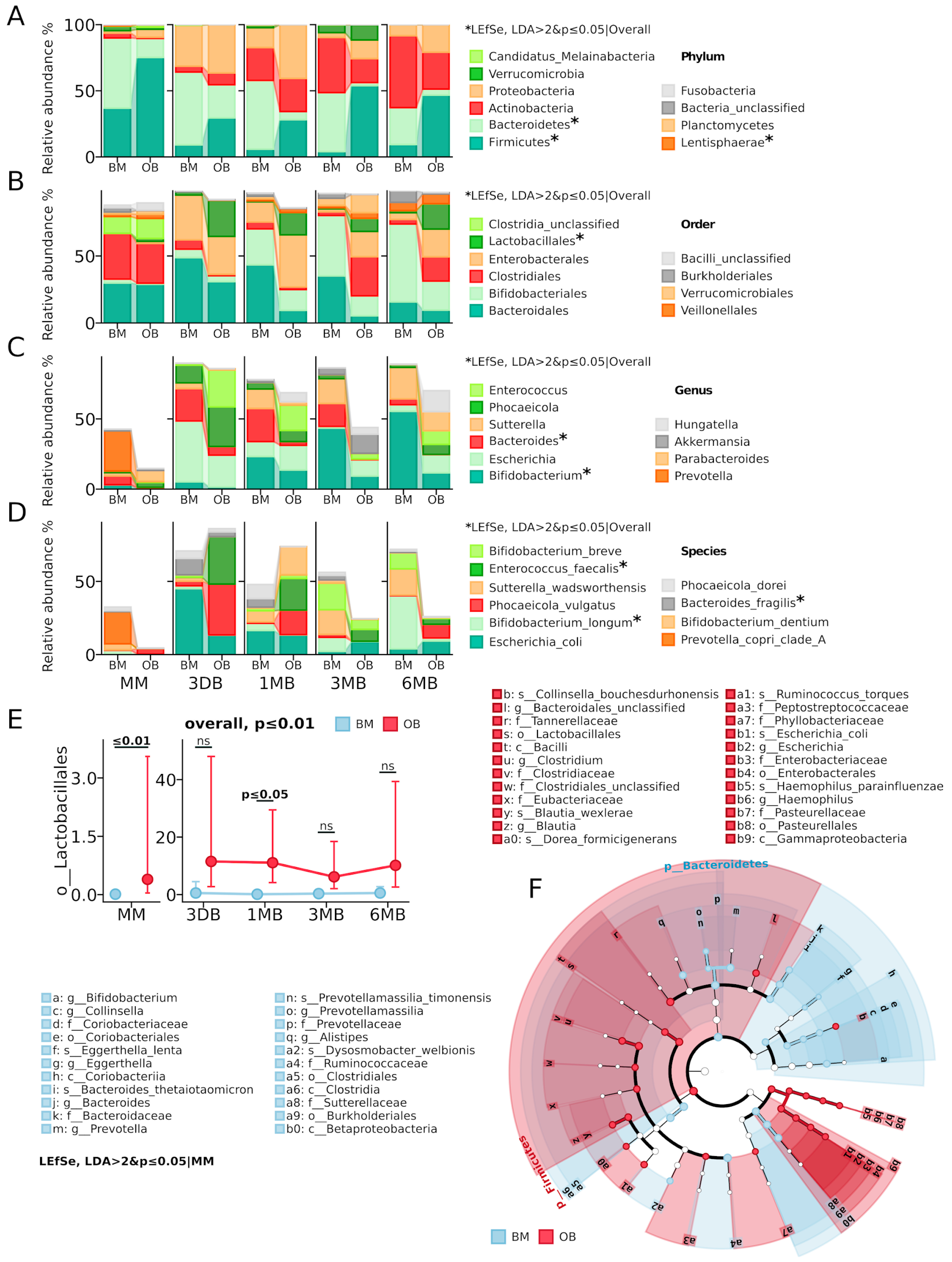 Biomedicines 13 00838 g002