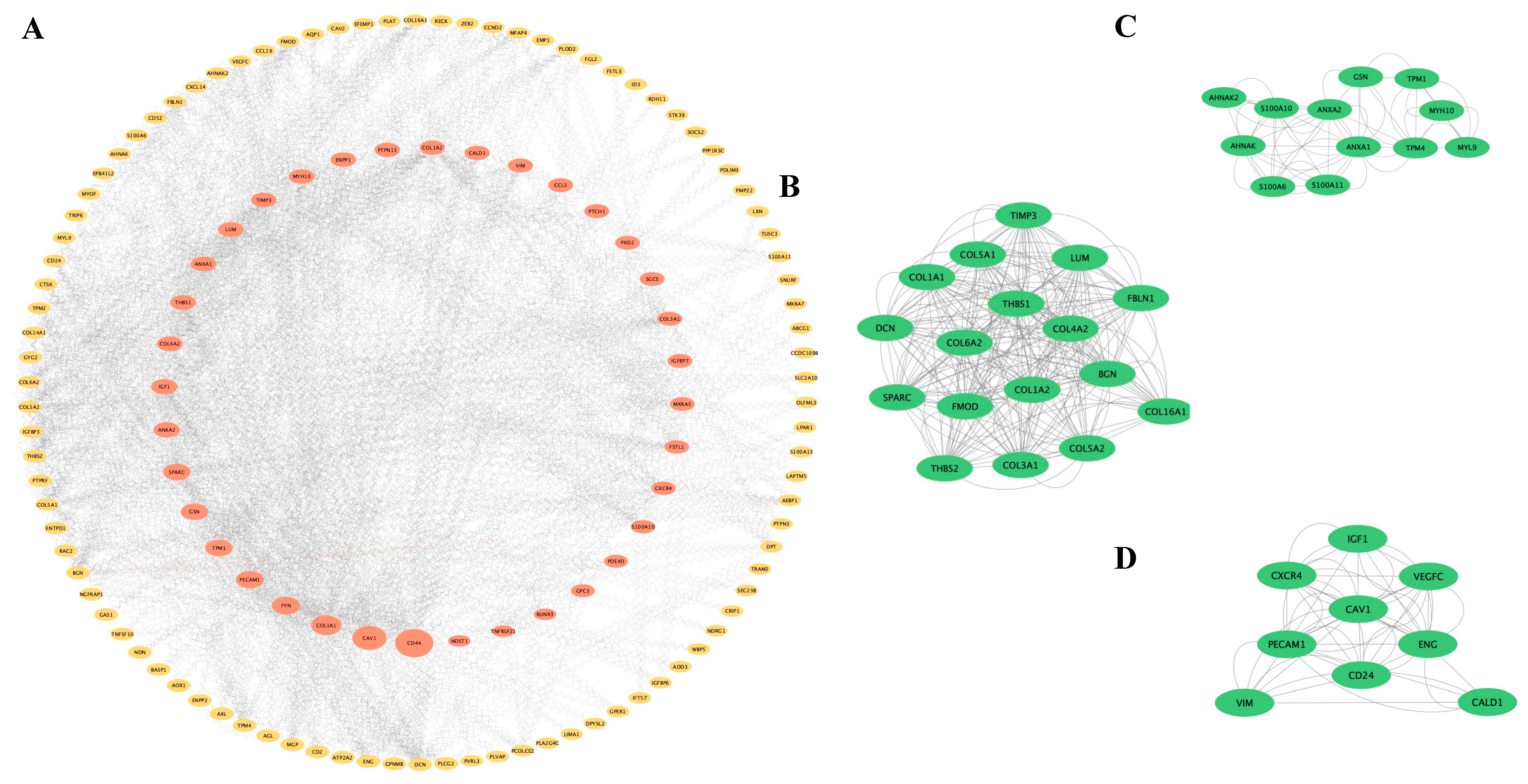 Biomedicines 13 00840 g003
