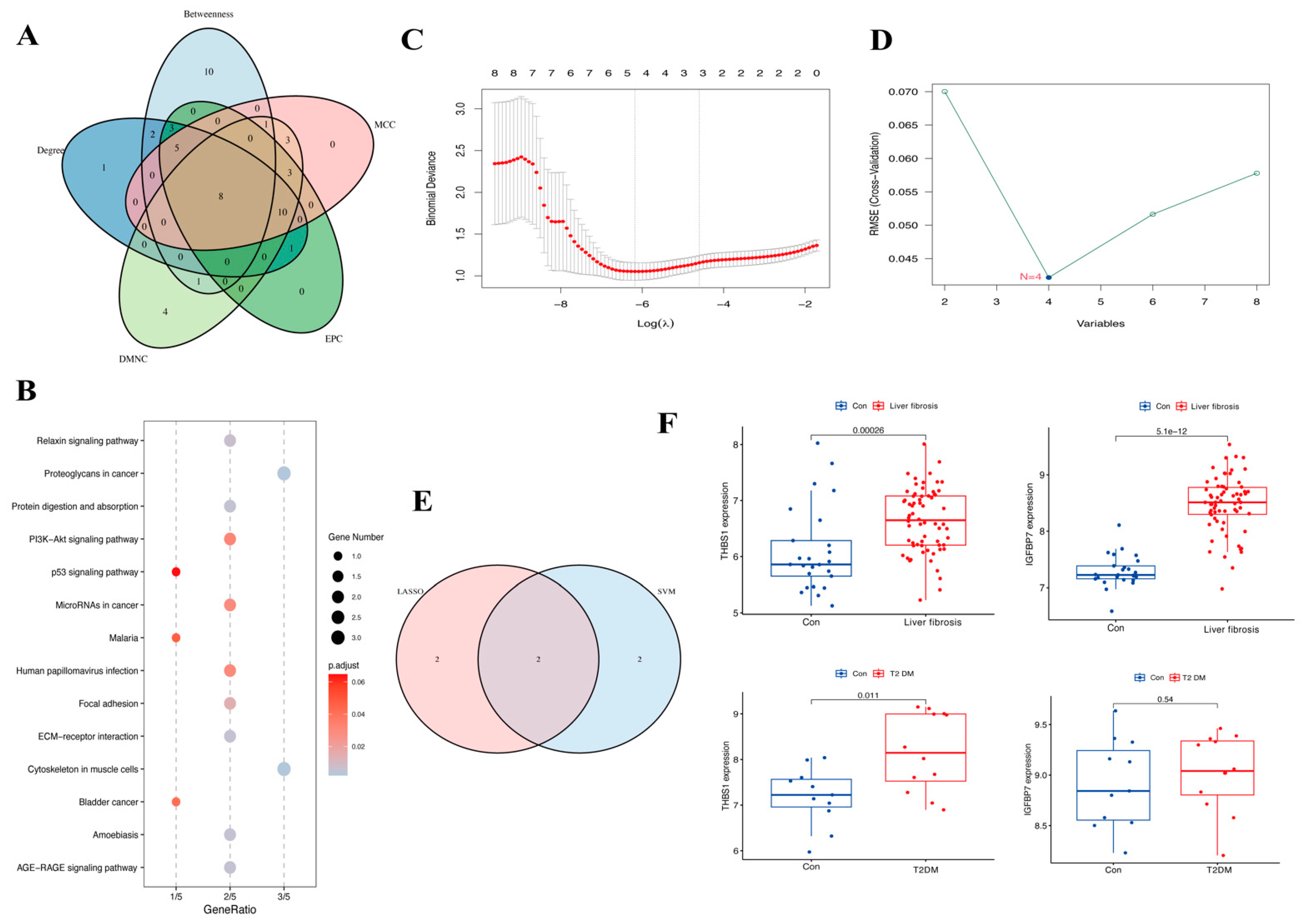 Biomedicines 13 00840 g005