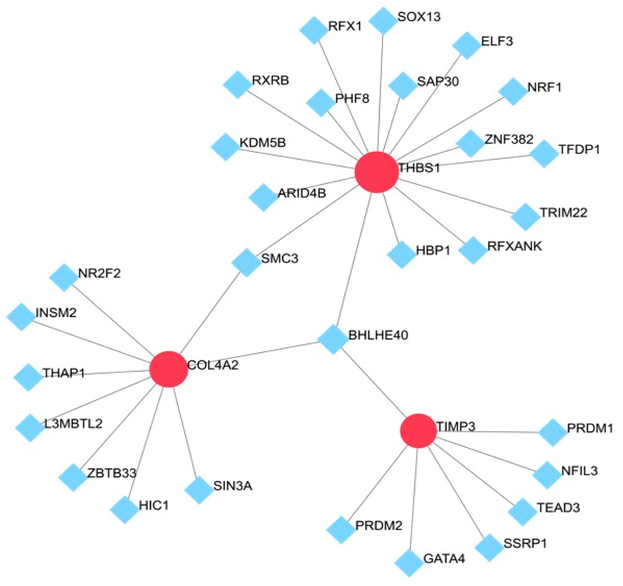 Biomedicines 13 00840 g006