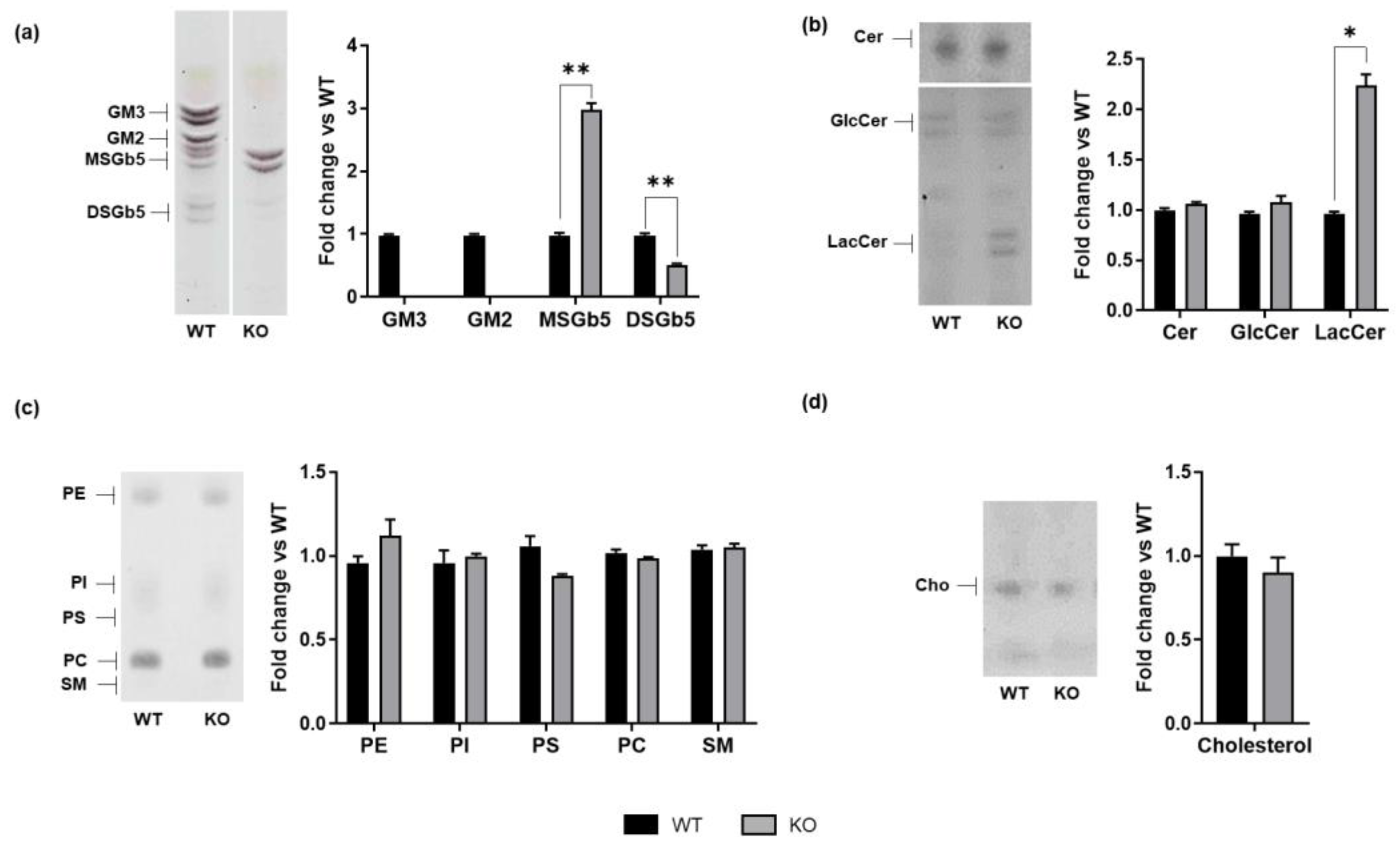 Biomedicines 13 00843 g001