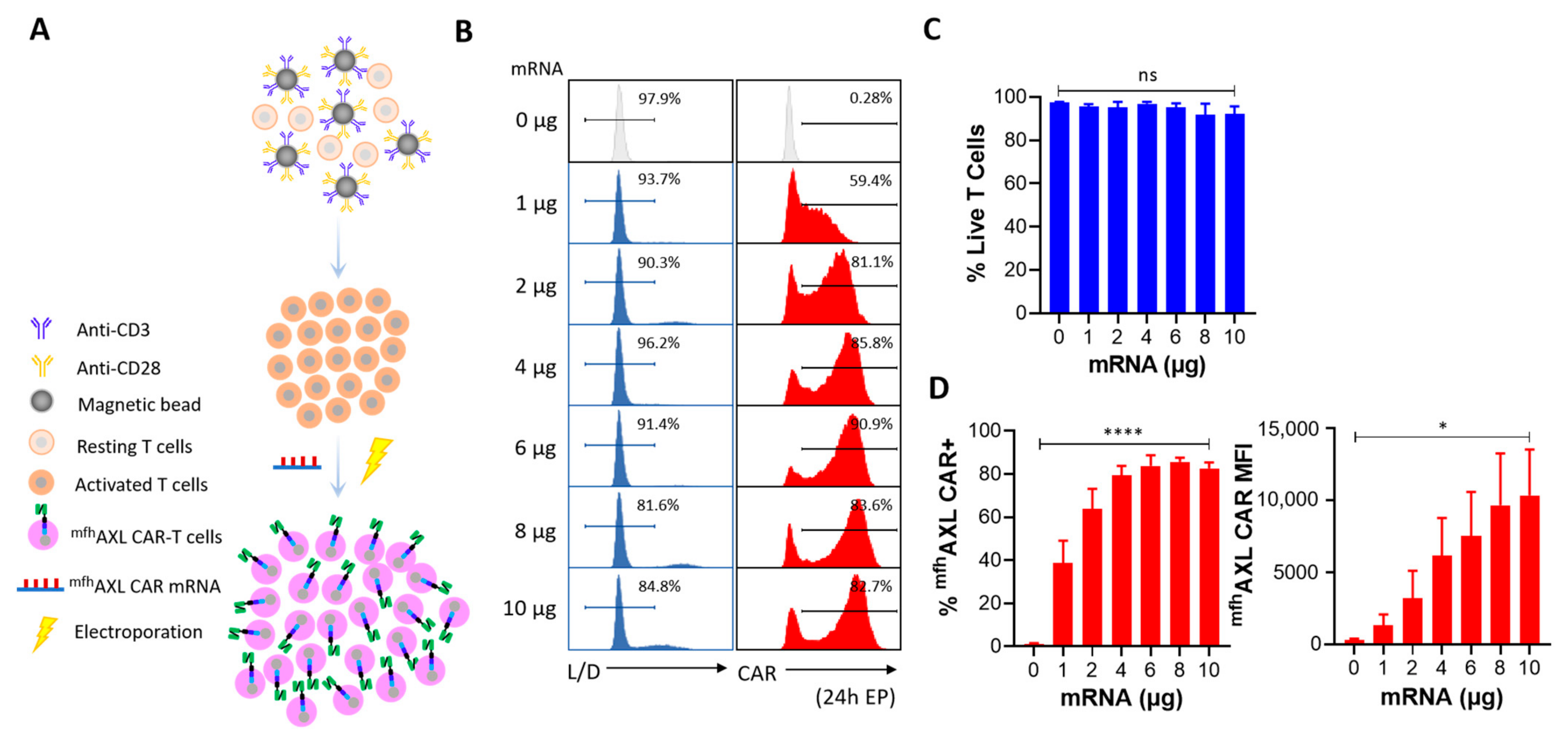 Biomedicines 13 00844 g002