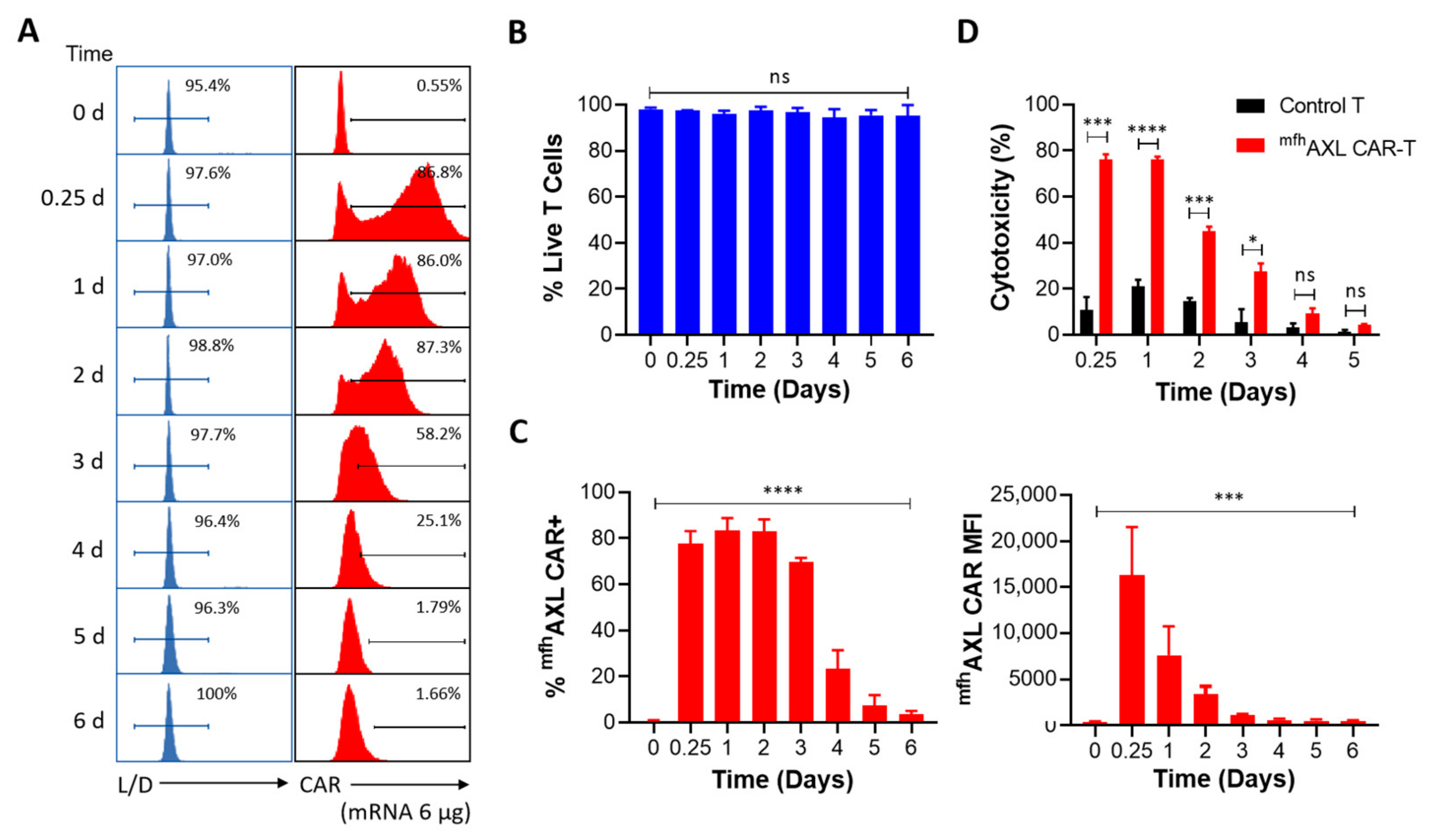 Biomedicines 13 00844 g003