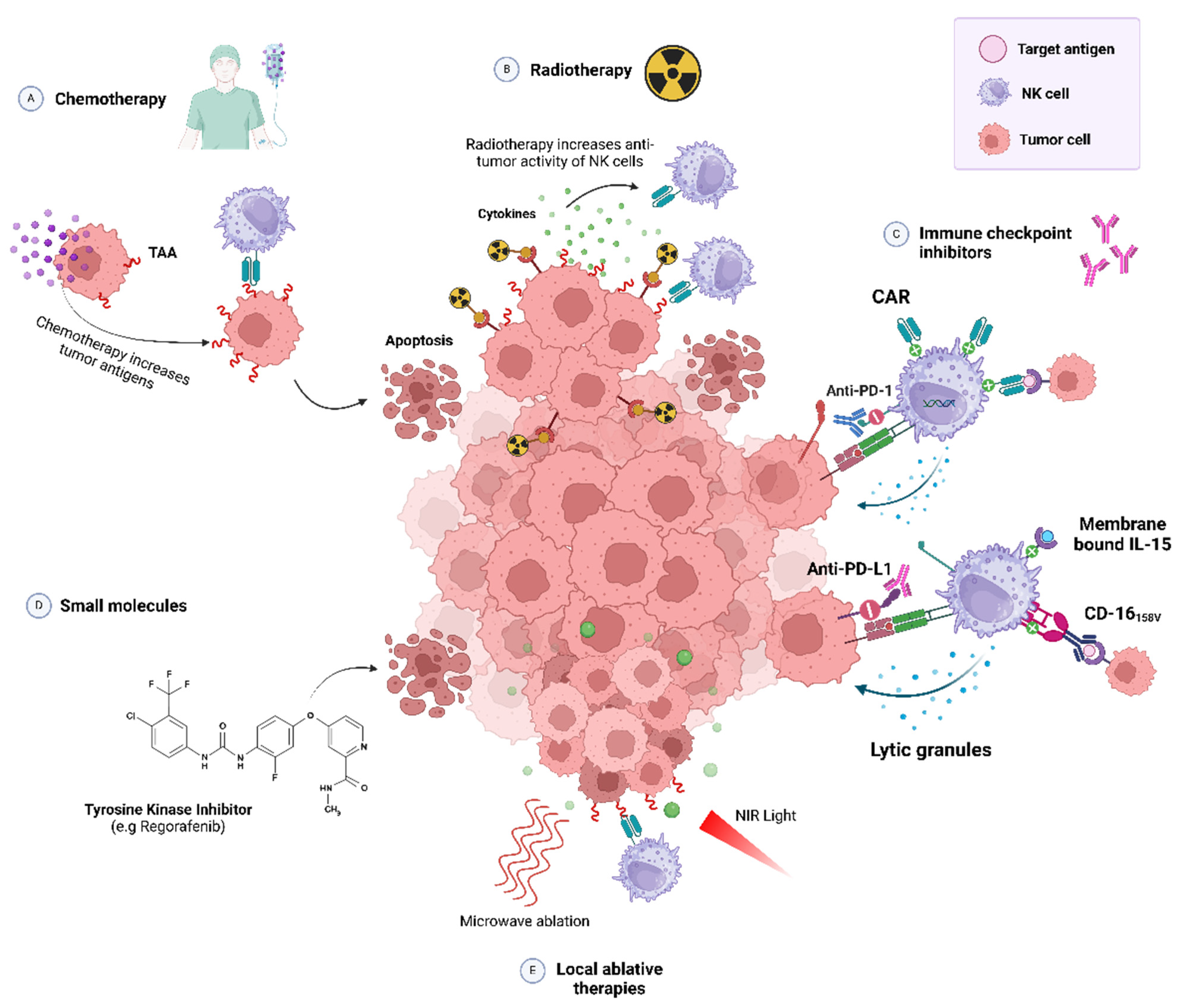 Biomedicines 13 00857 g004 Biomedicines 13 00857 g004