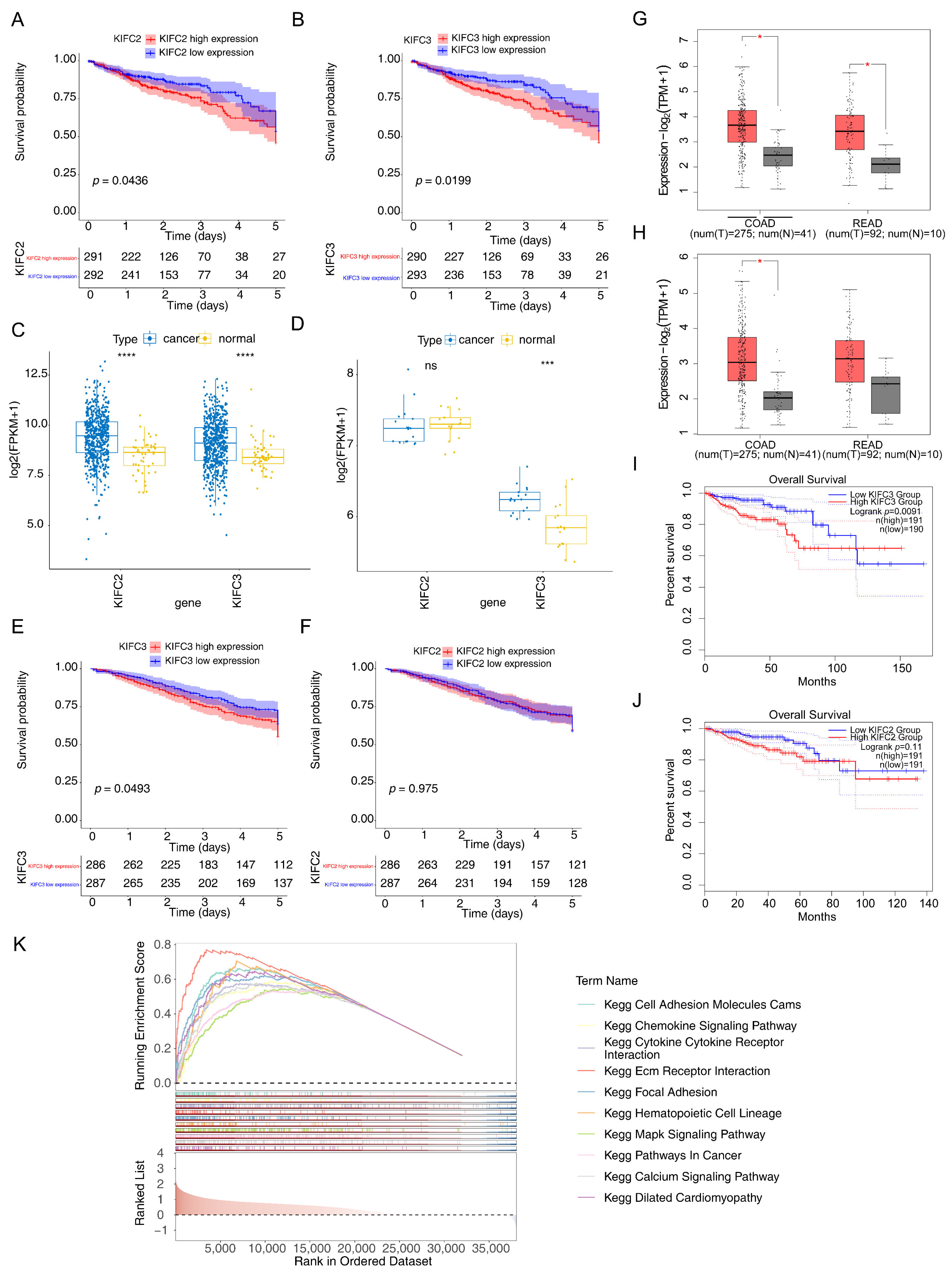 Biomedicines 13 00859 g003