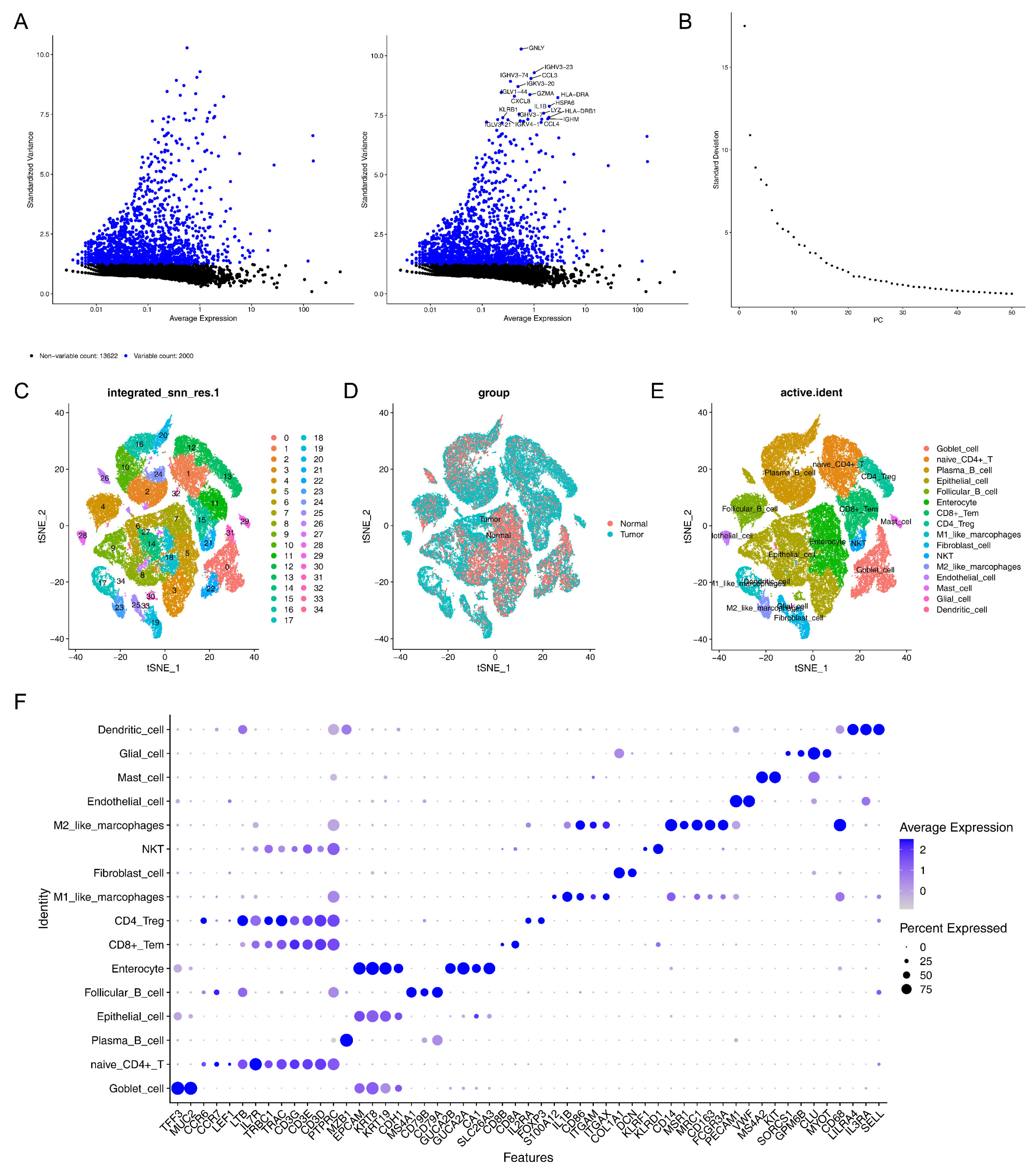 Biomedicines 13 00859 g007