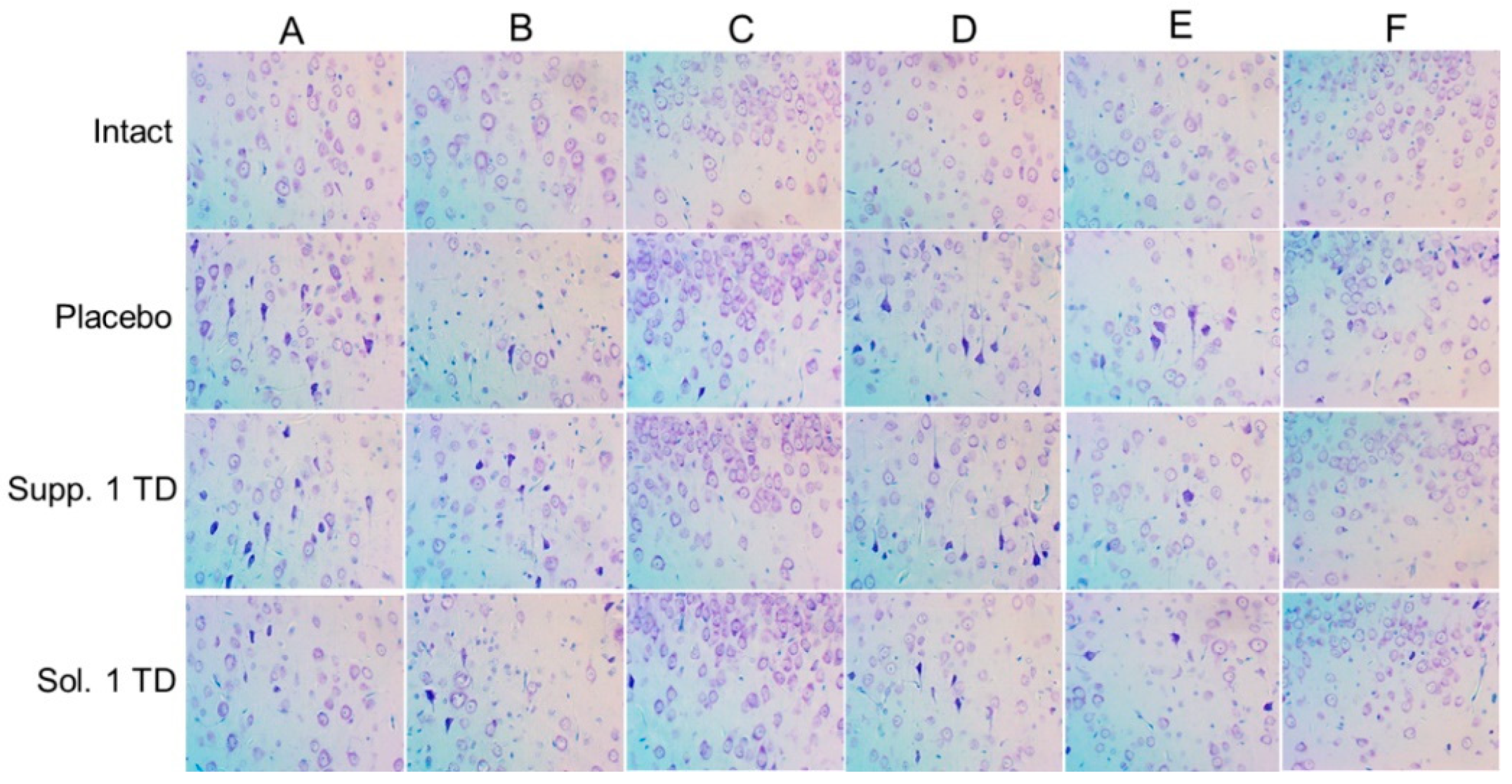 Biomedicines 13 00860 g009