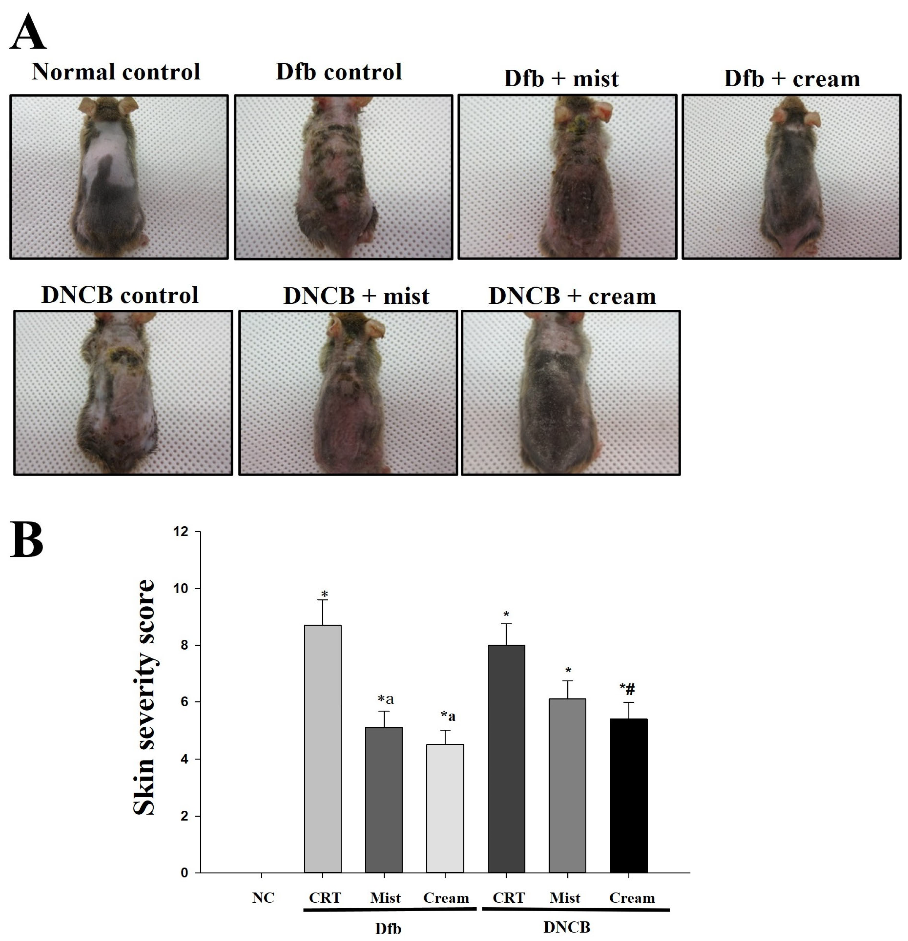 Biomedicines 13 00861 g001