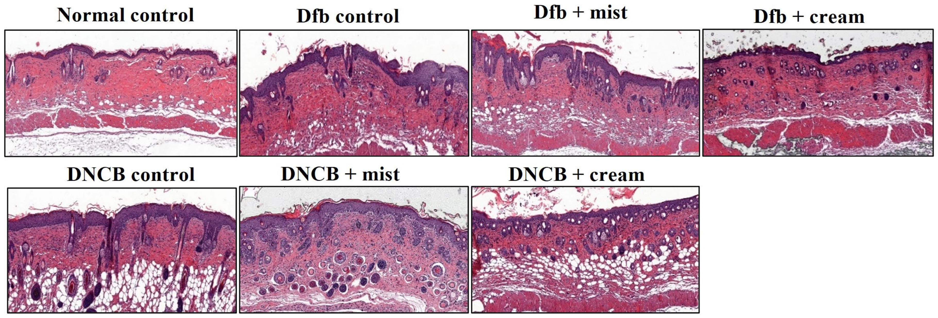 Biomedicines 13 00861 g004