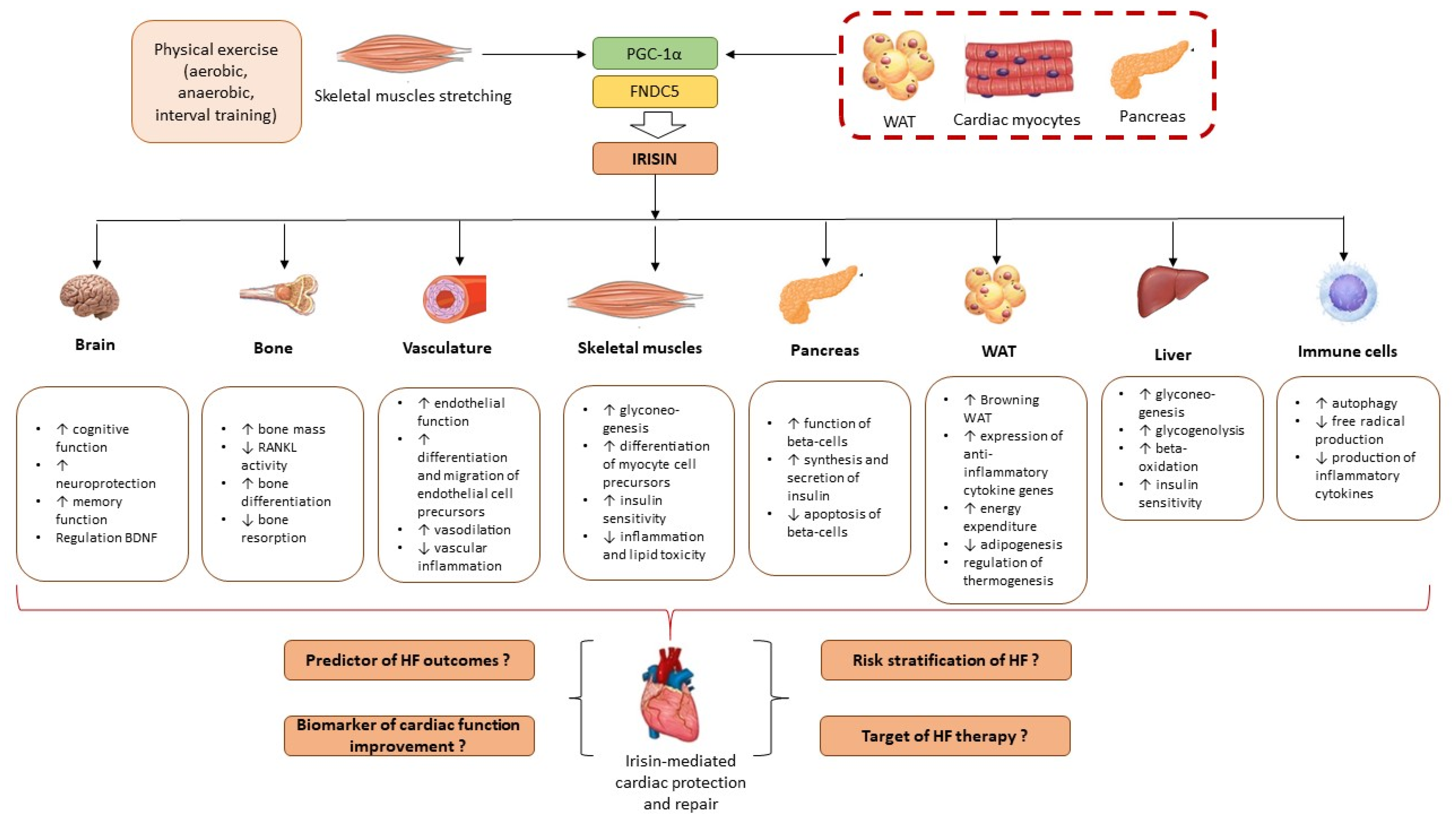 Biomedicines 13 00866 g001