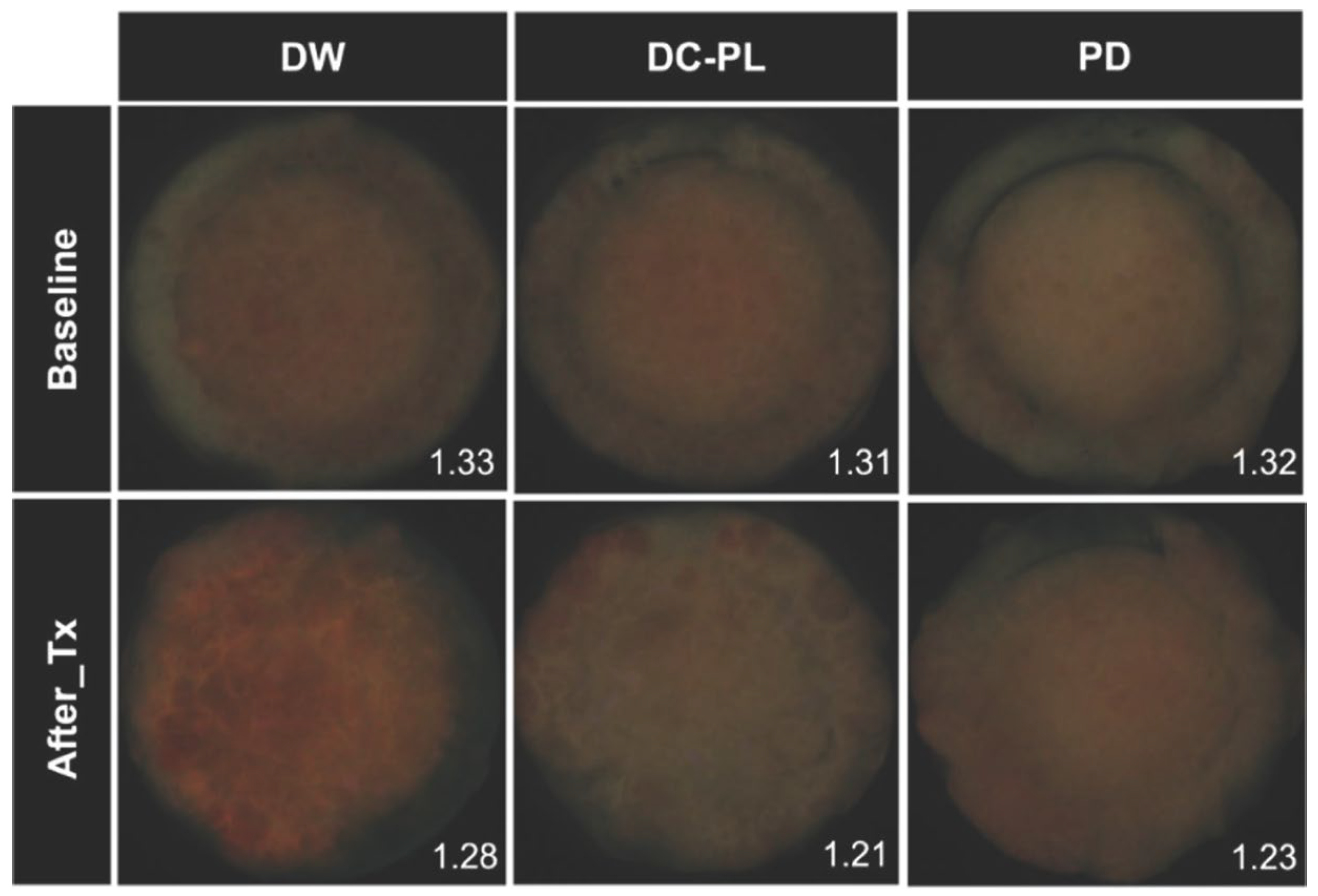 Biomedicines 13 00869 g003 Biomedicines 13 00869 g003