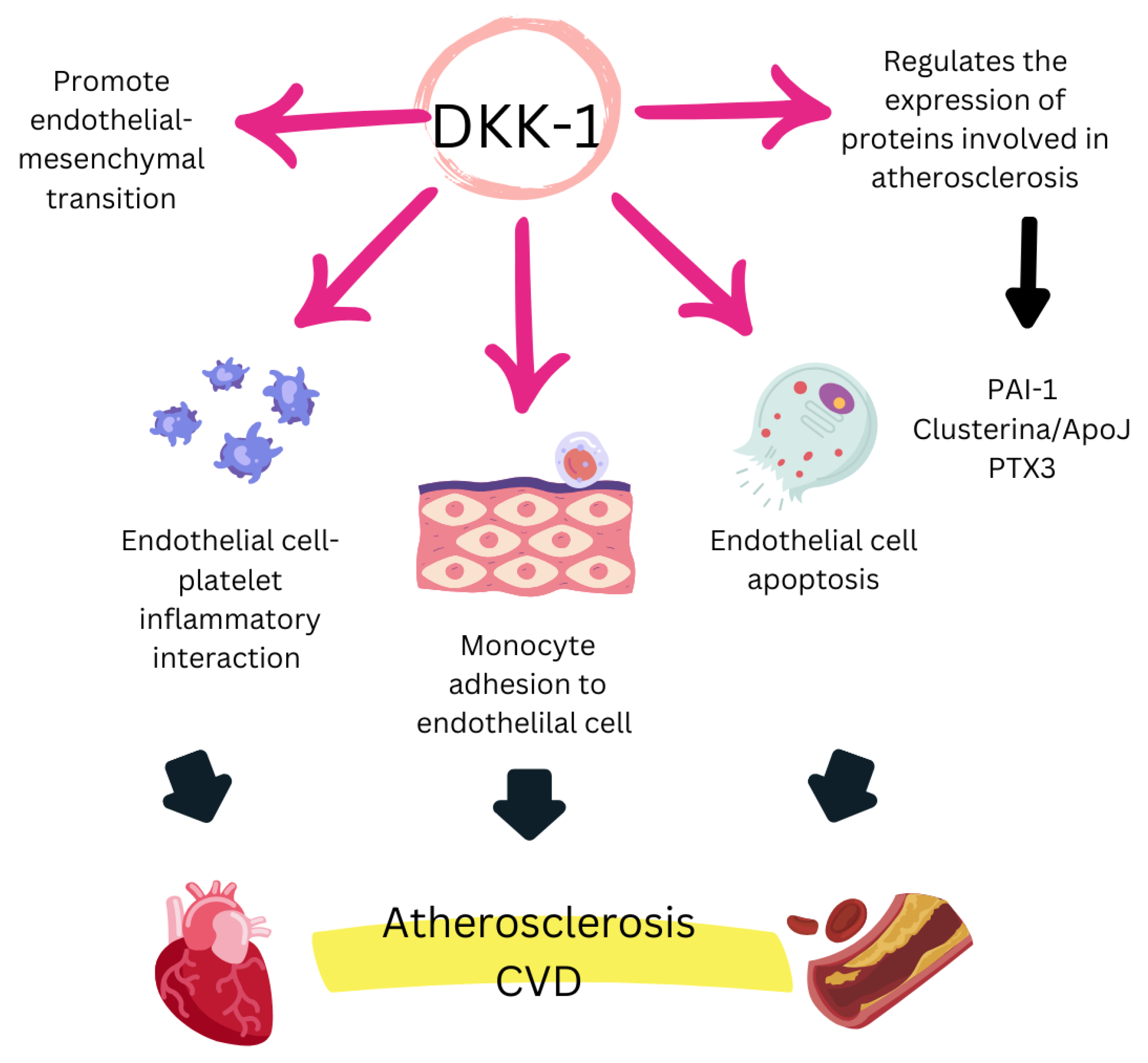 Biomedicines 13 00870 g002 Biomedicines 13 00870 g002