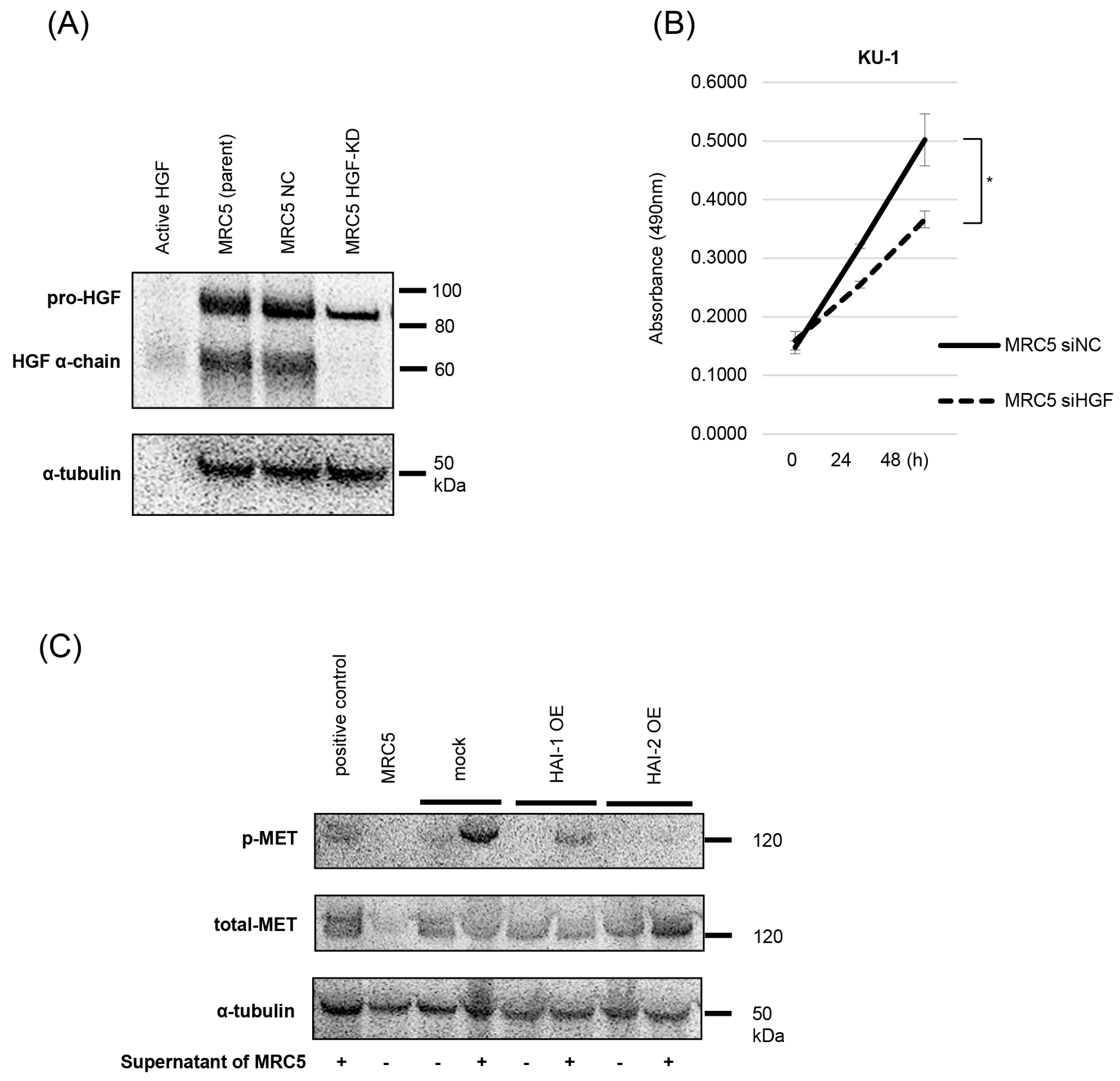 Biomedicines 13 00871 g005