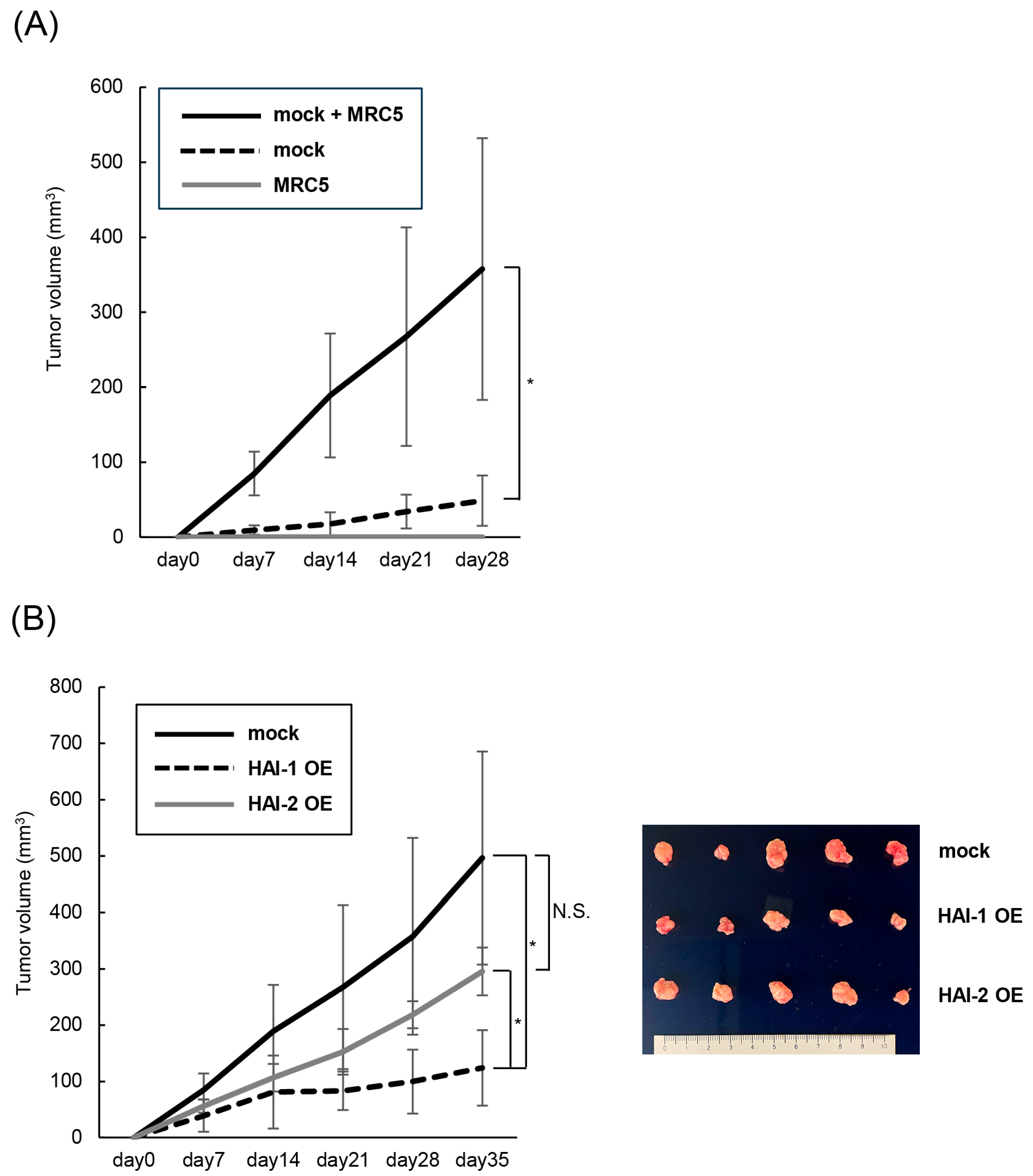 Biomedicines 13 00871 g006a