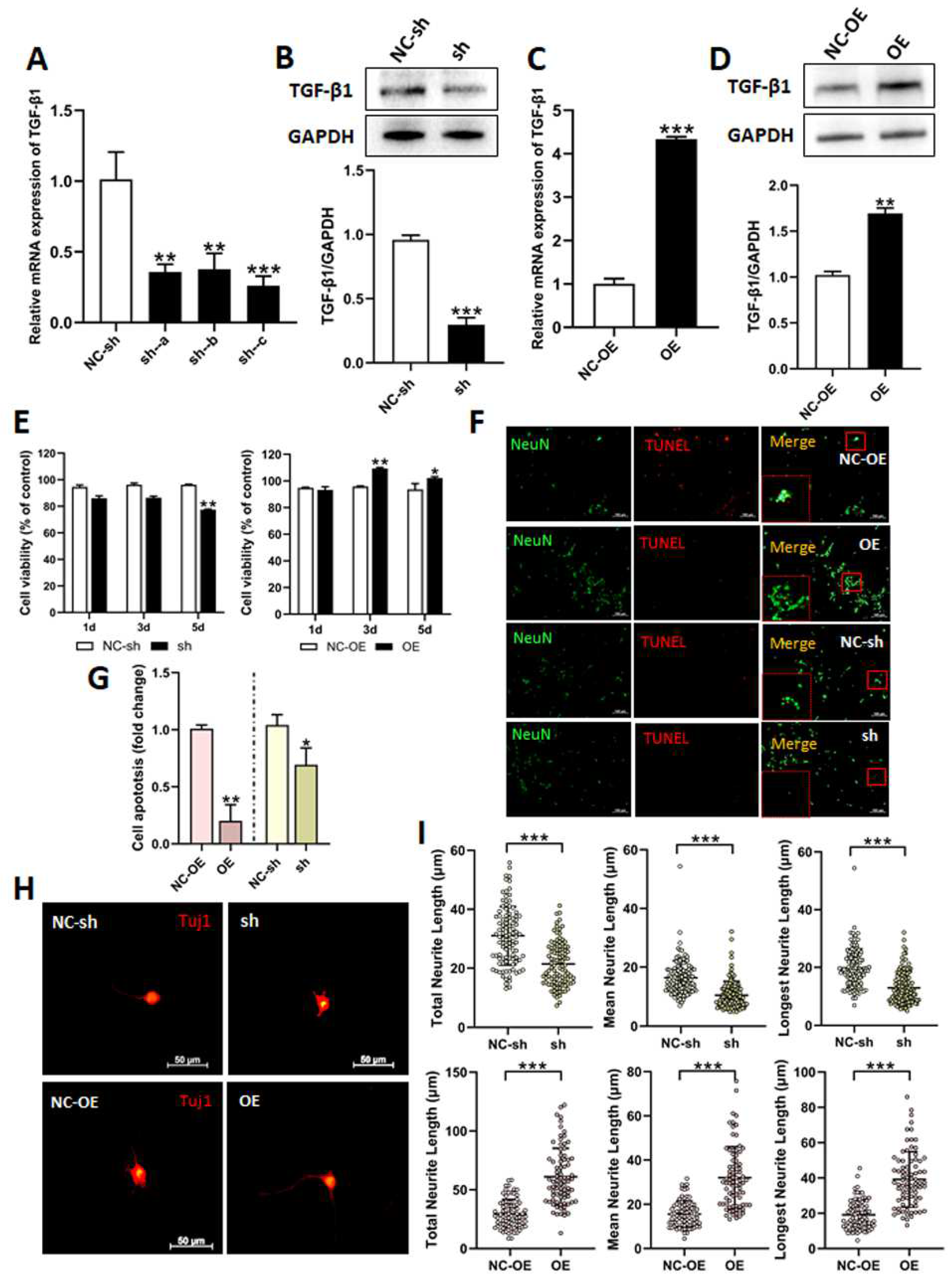 Biomedicines 13 00872 g002