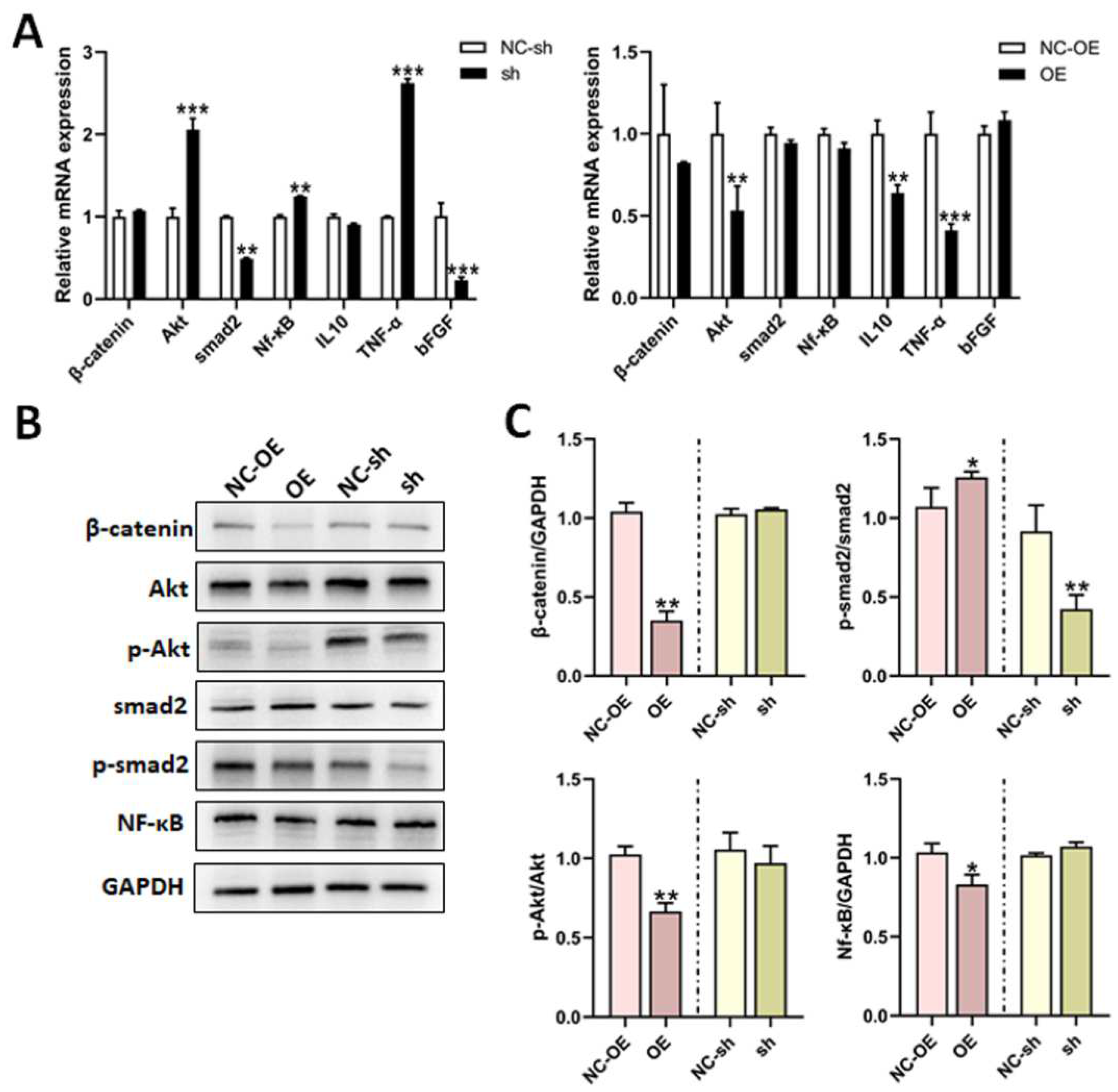 Biomedicines 13 00872 g003
