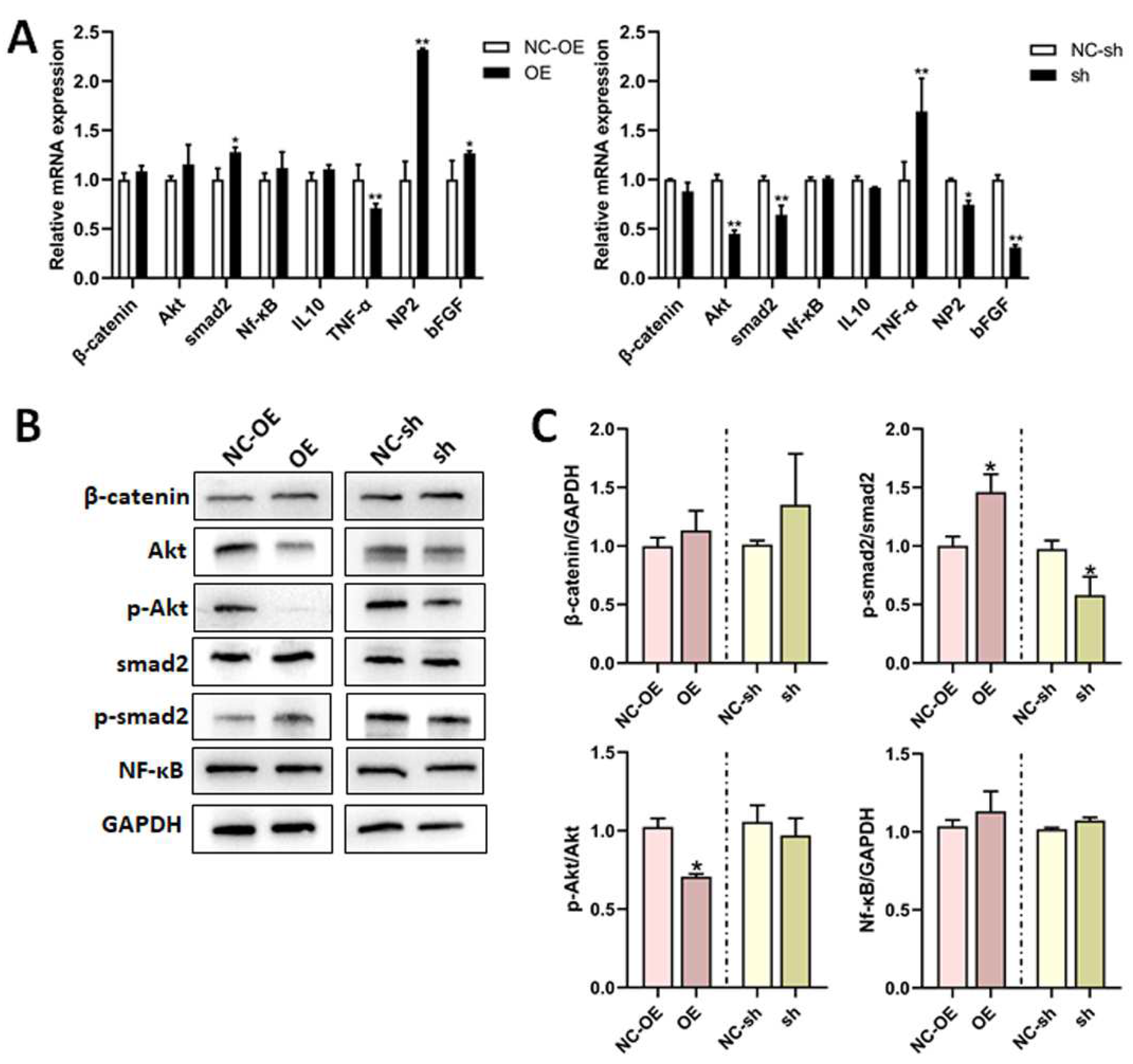 Biomedicines 13 00872 g008