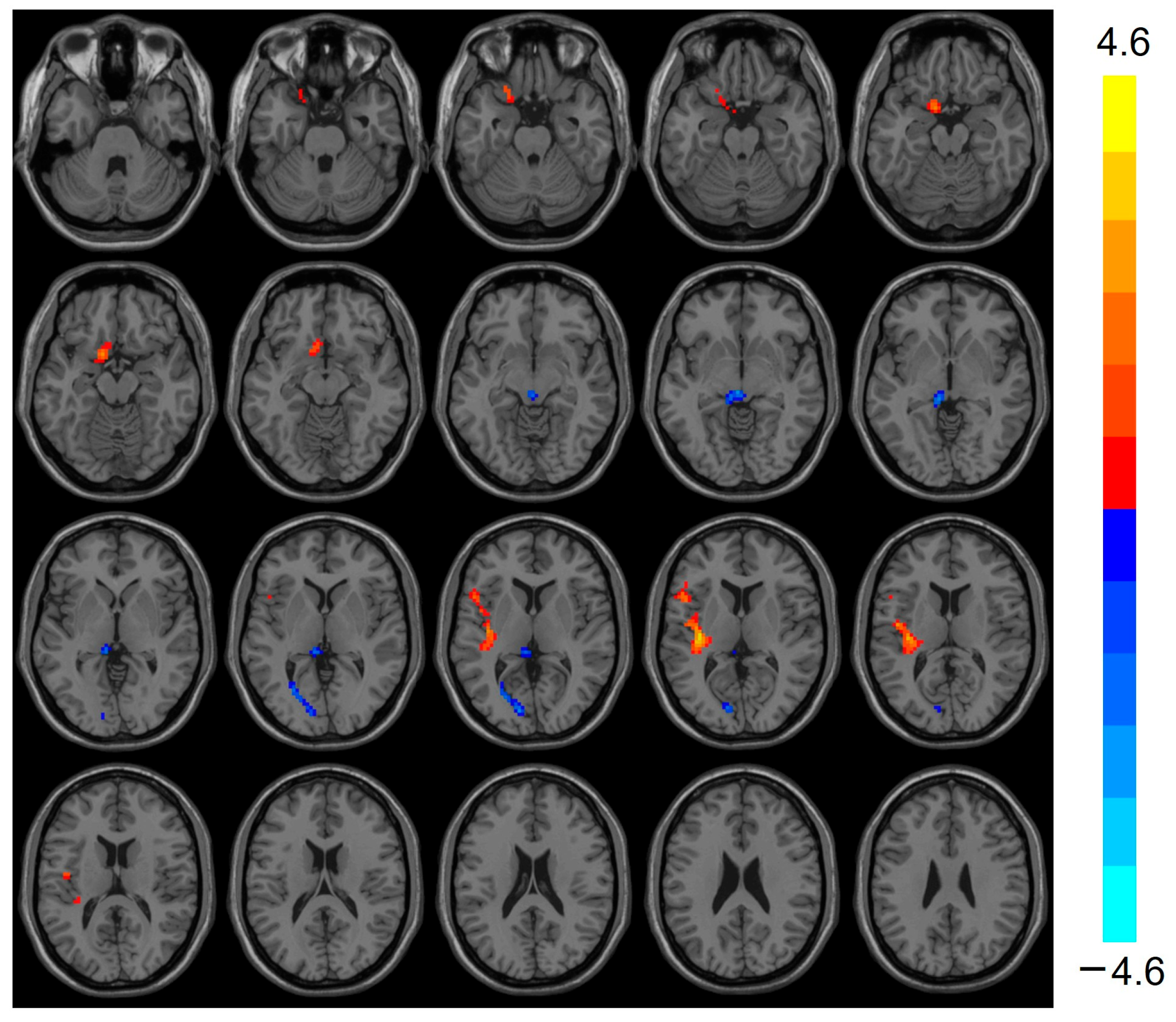 Biomedicines 13 00873 g001