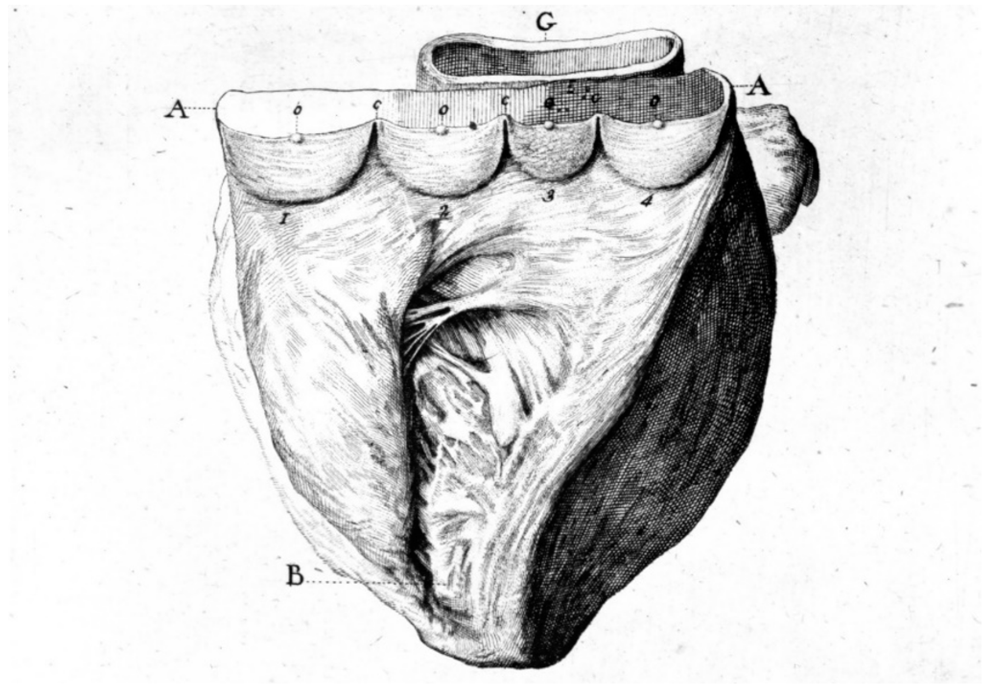 Biomedicines 13 00875 g010