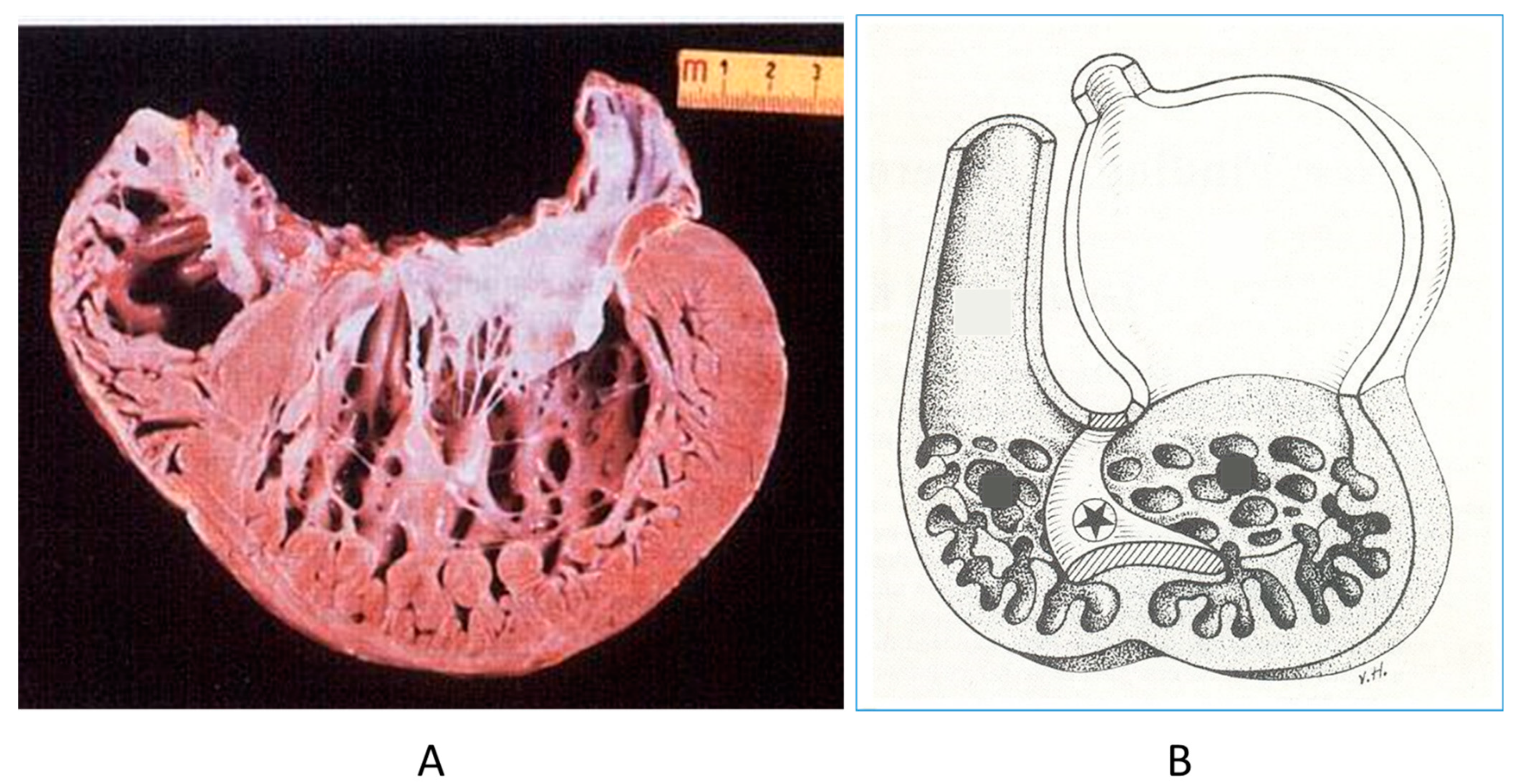 Biomedicines 13 00875 g016