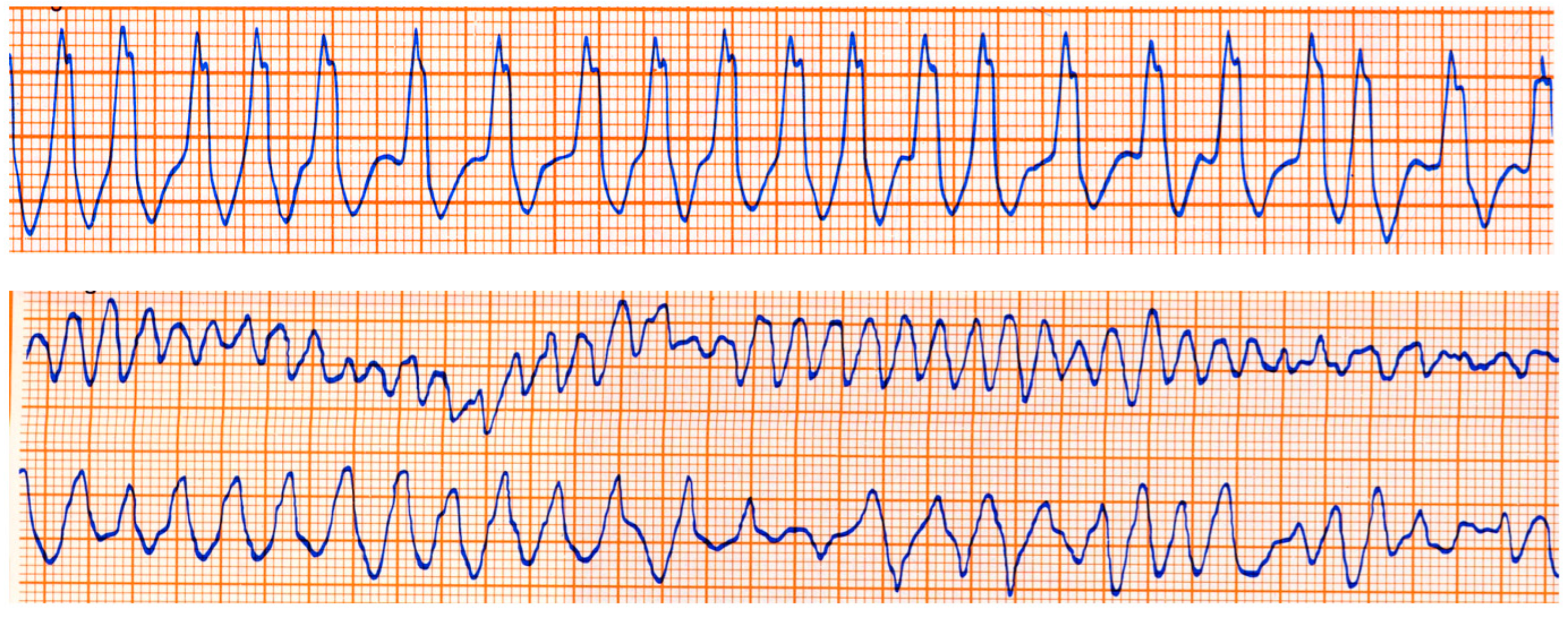 Biomedicines 13 00875 g020