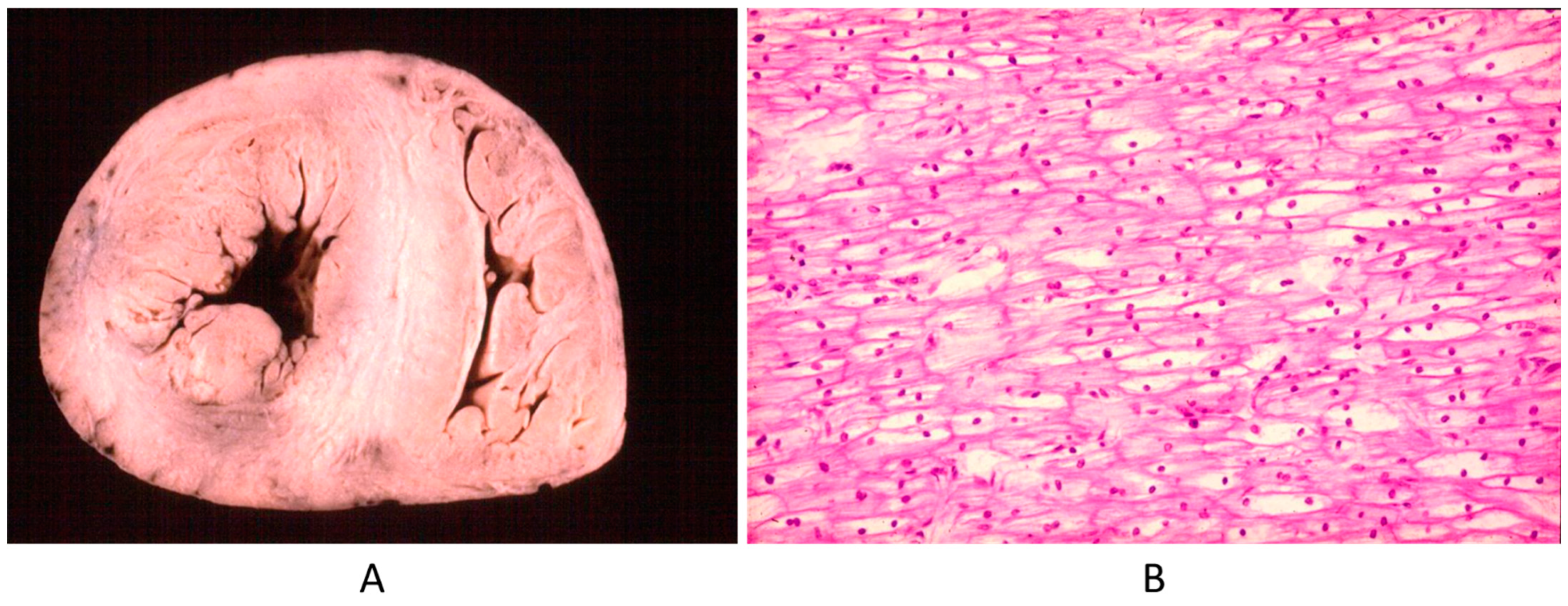Biomedicines 13 00875 g023