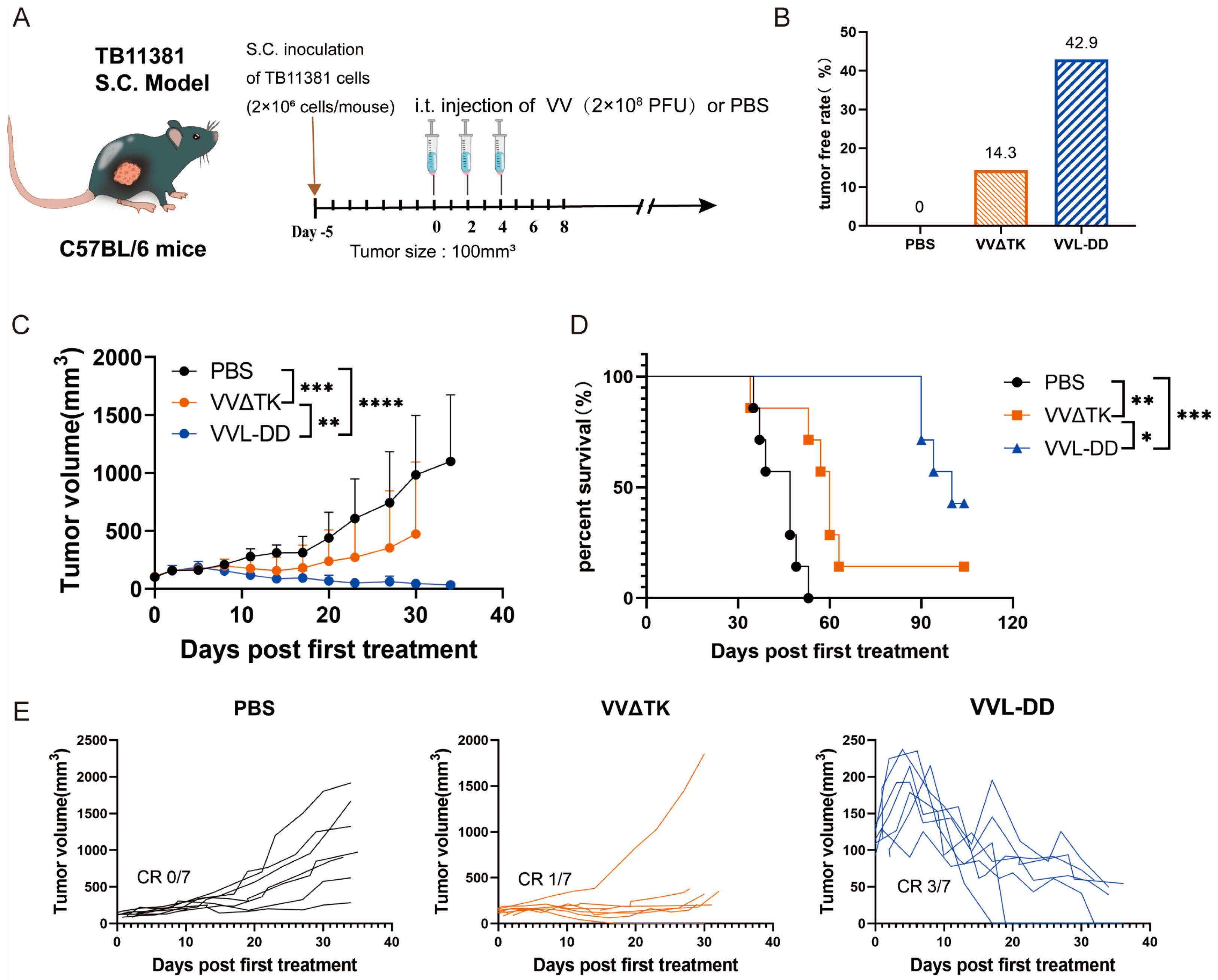 Biomedicines 13 00882 g001 Biomedicines 13 00882 g001
