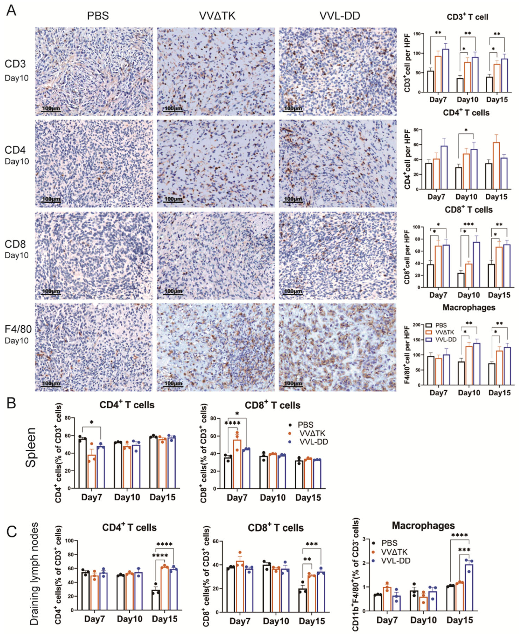 Biomedicines 13 00882 g002 Biomedicines 13 00882 g002
