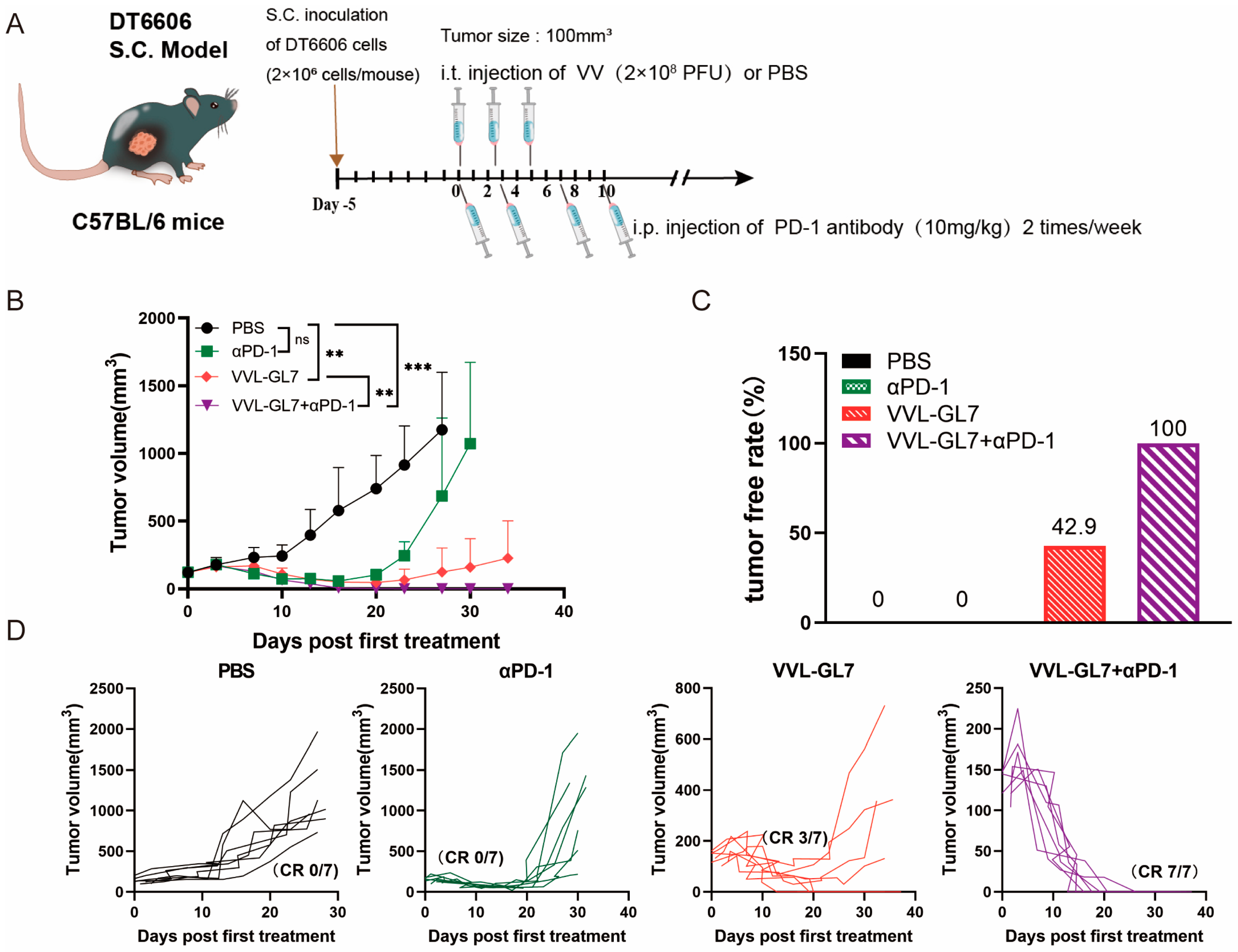 Biomedicines 13 00882 g005 Biomedicines 13 00882 g005