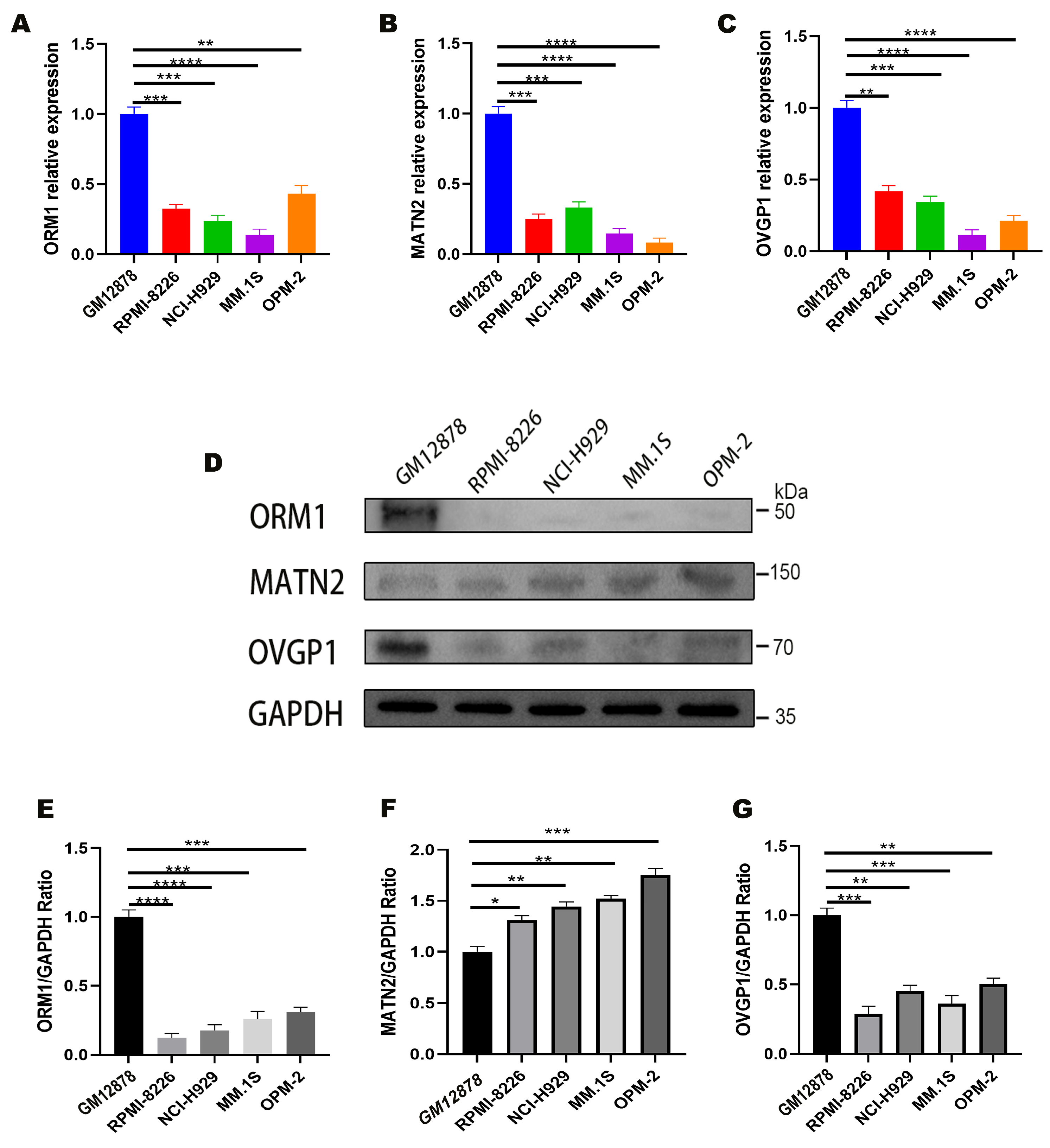 Biomedicines 13 00885 g004