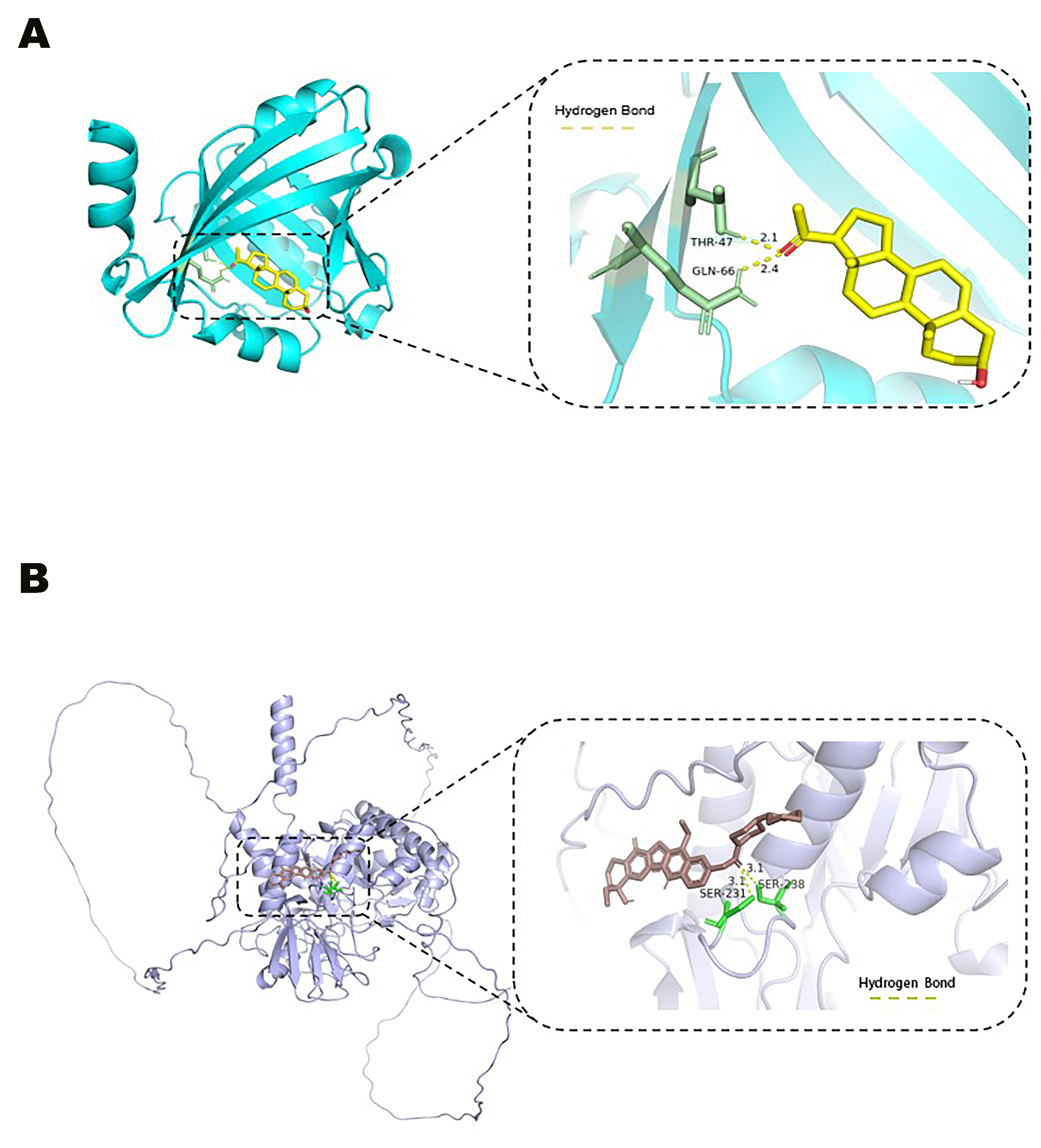 Biomedicines 13 00885 g006