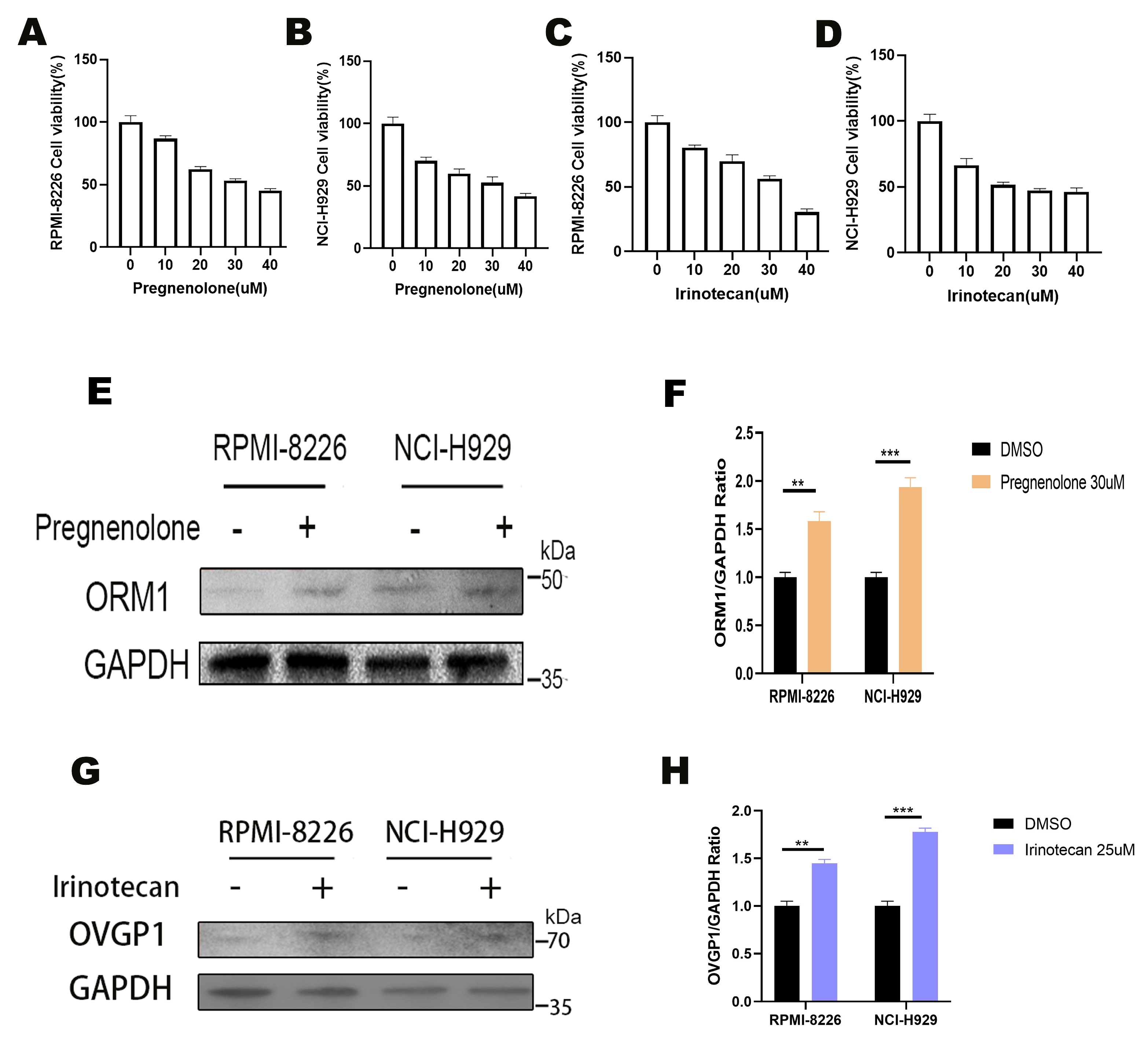 Biomedicines 13 00885 g007