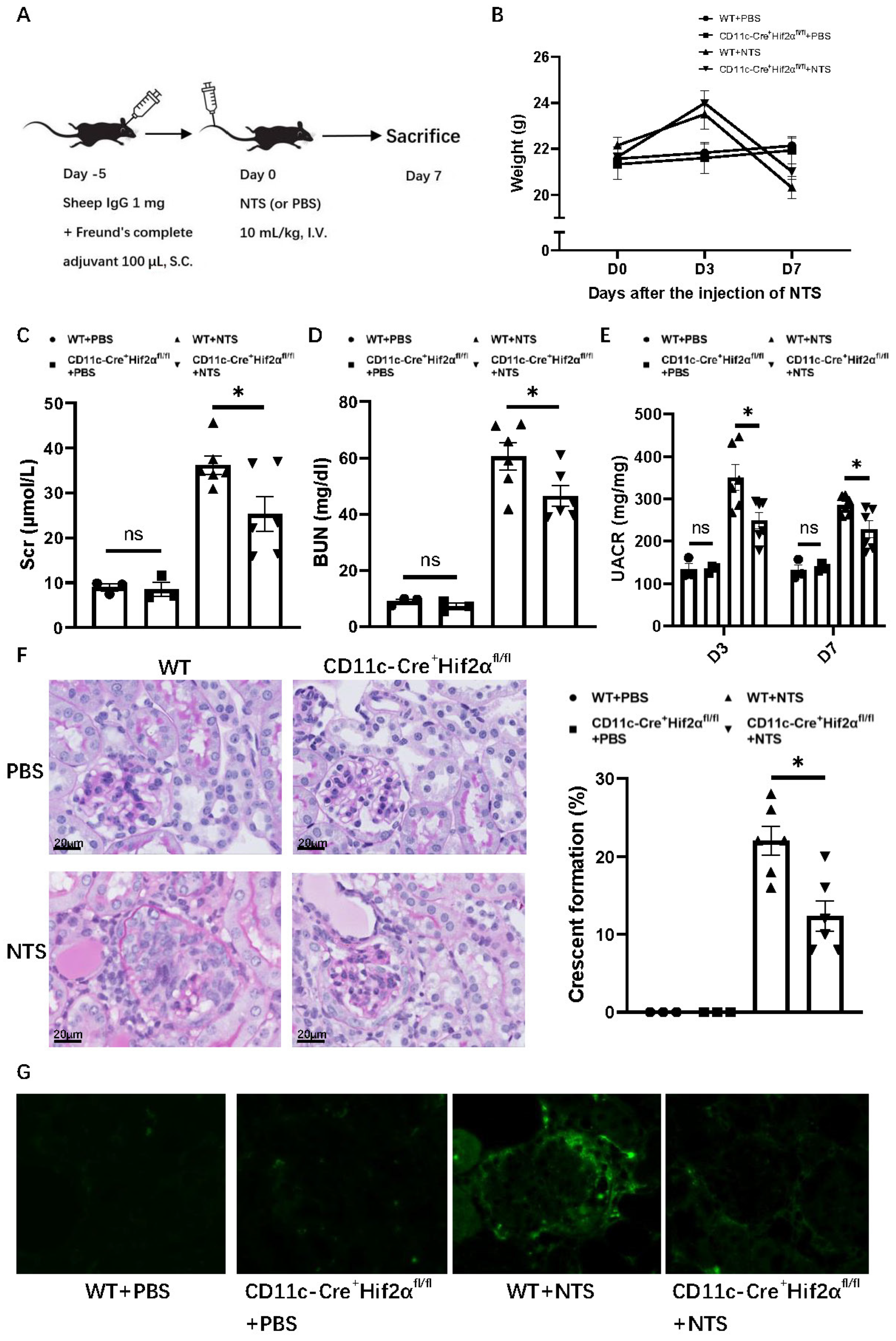 Biomedicines 13 00888 g001