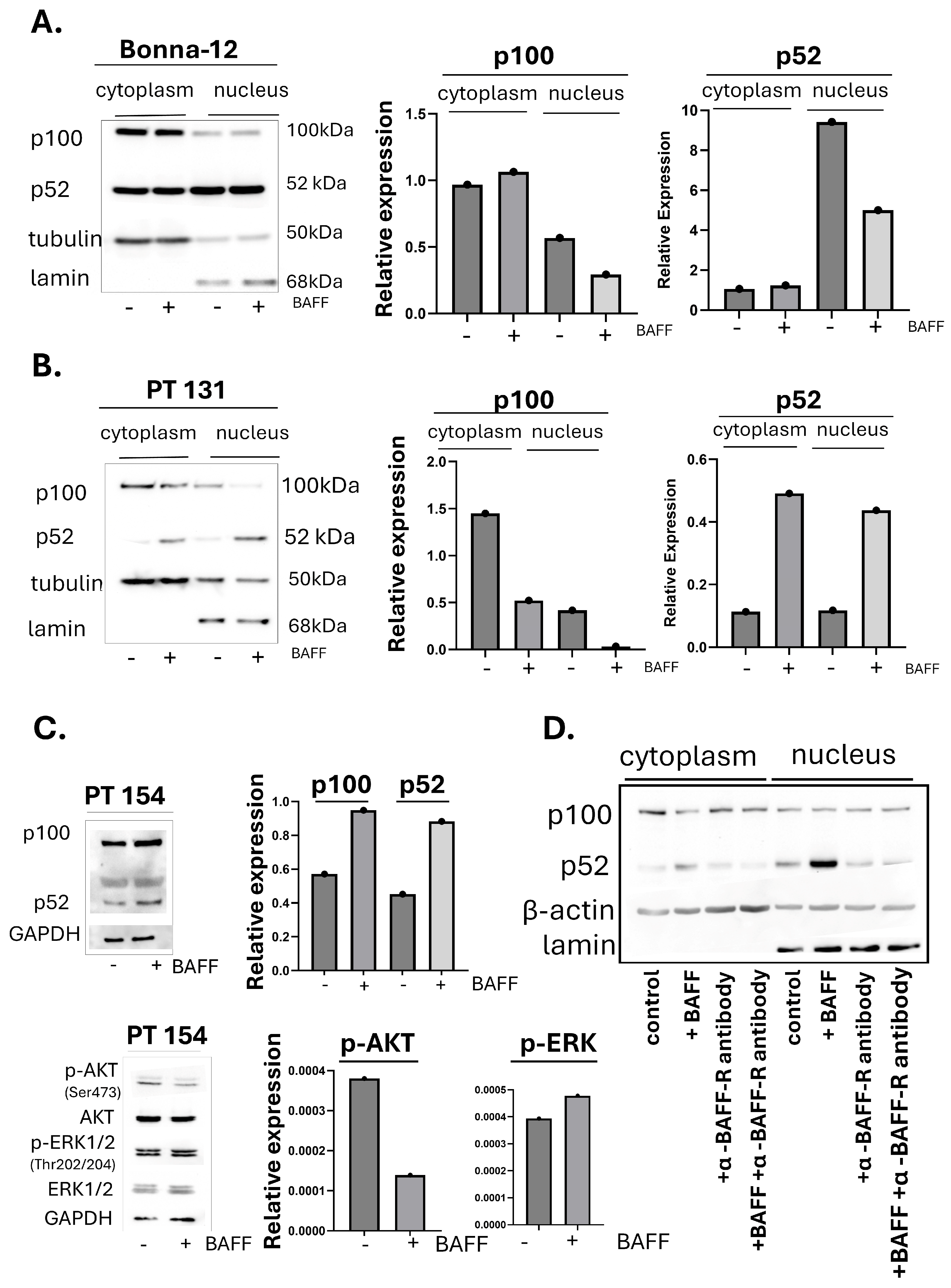 Biomedicines 13 00890 g002 Biomedicines 13 00890 g002