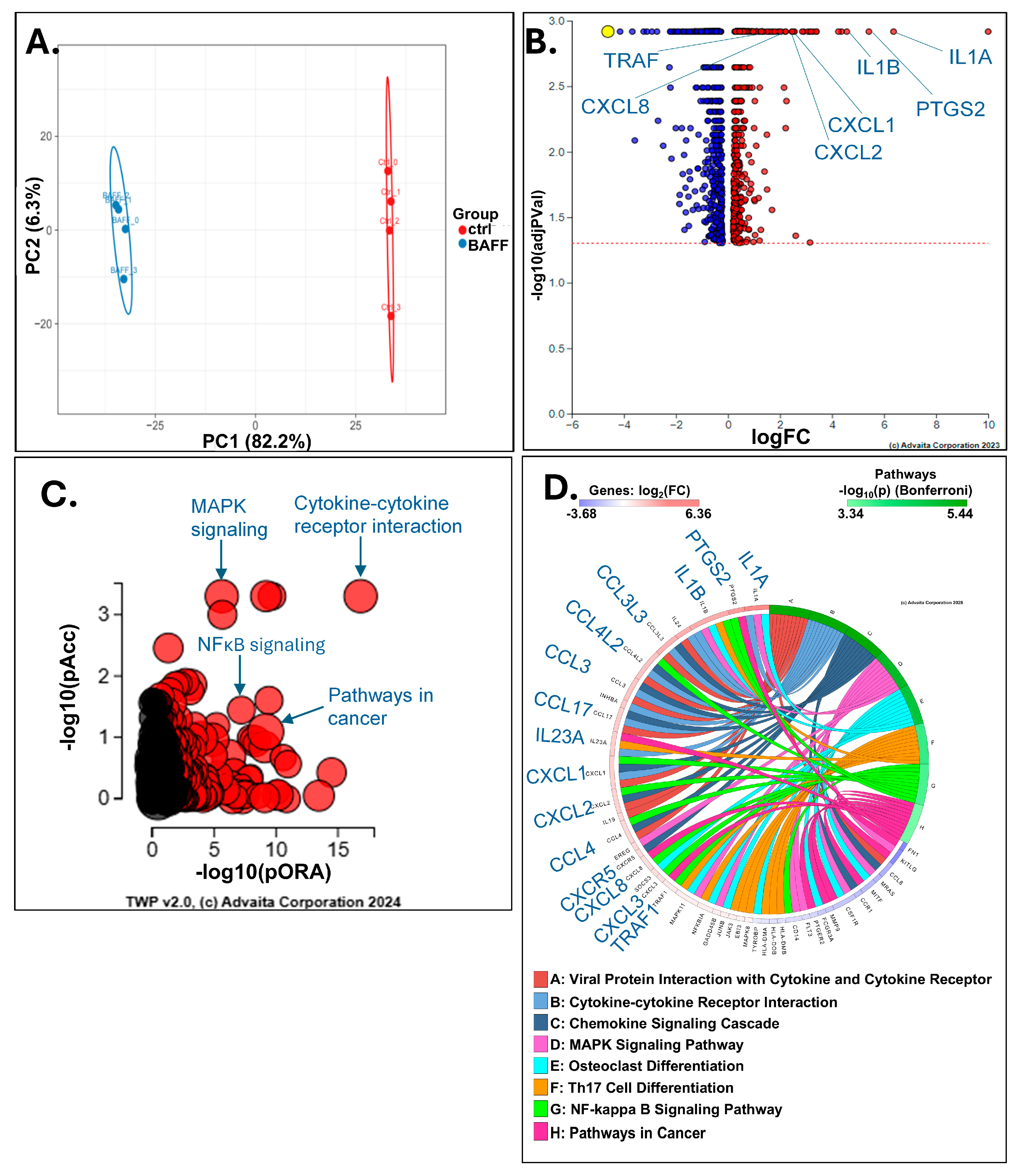 Biomedicines 13 00890 g003 Biomedicines 13 00890 g003