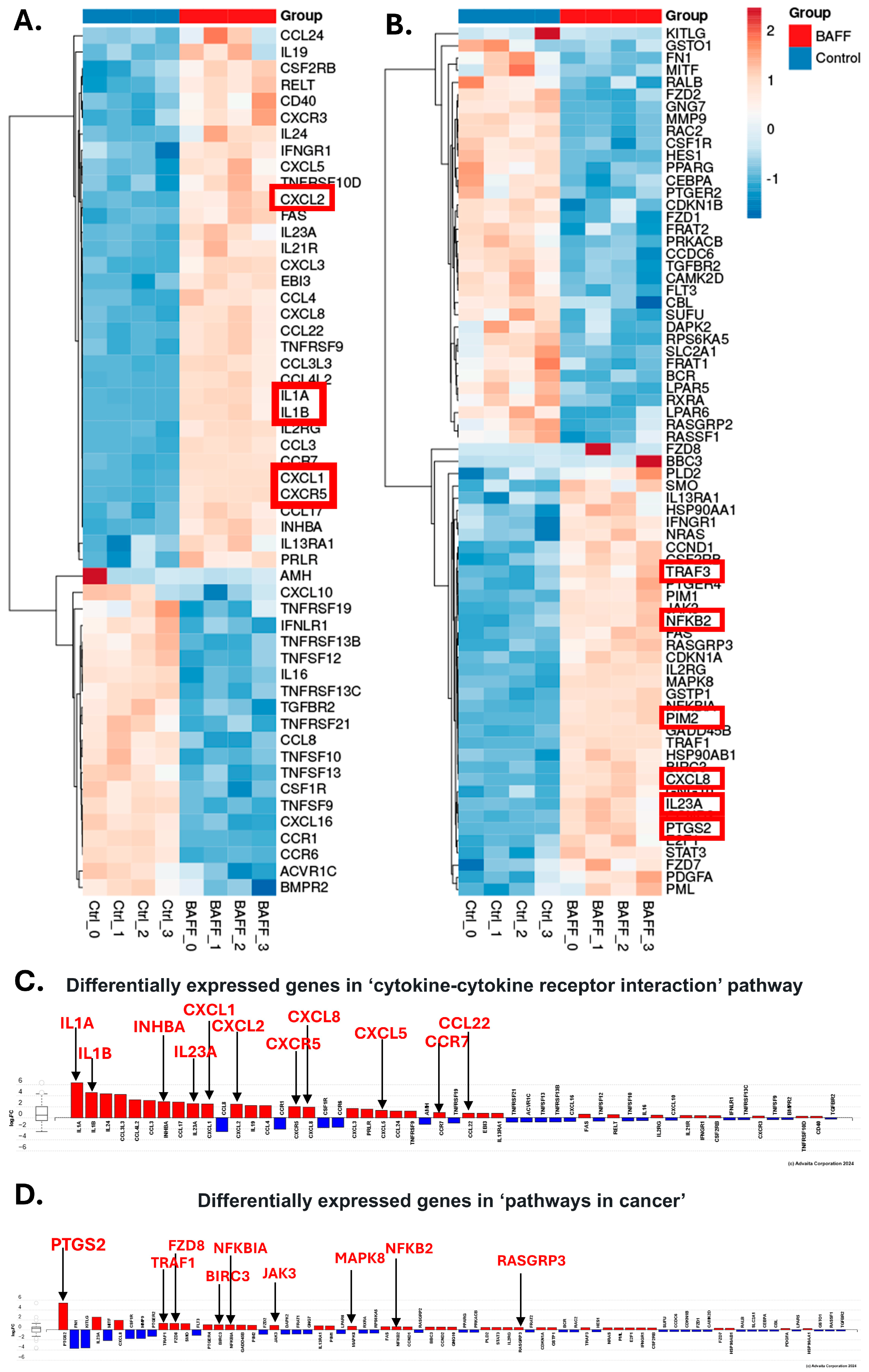 Biomedicines 13 00890 g004 Biomedicines 13 00890 g004